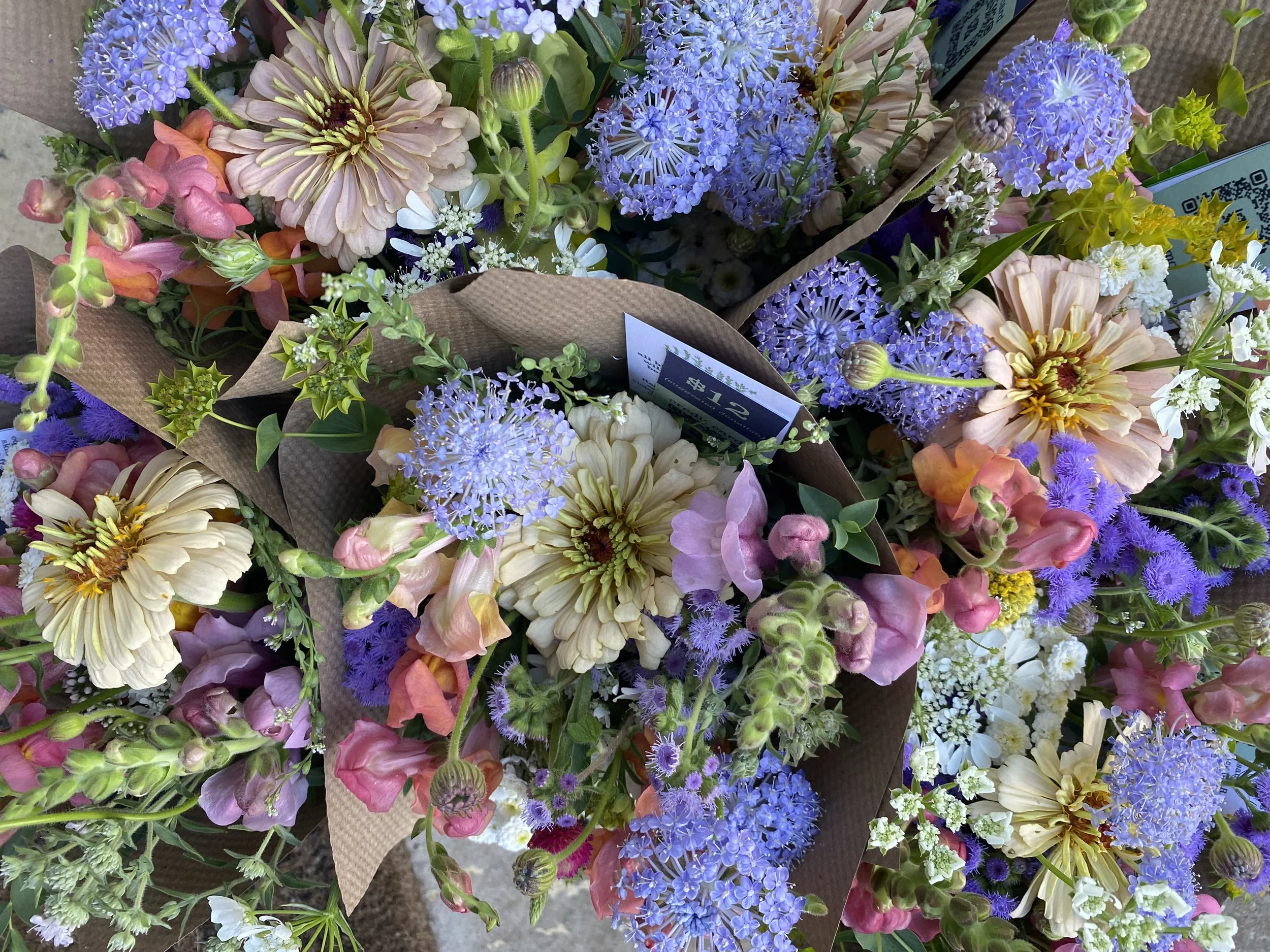 Sugar Bear Self Serve Posy Bouquets!