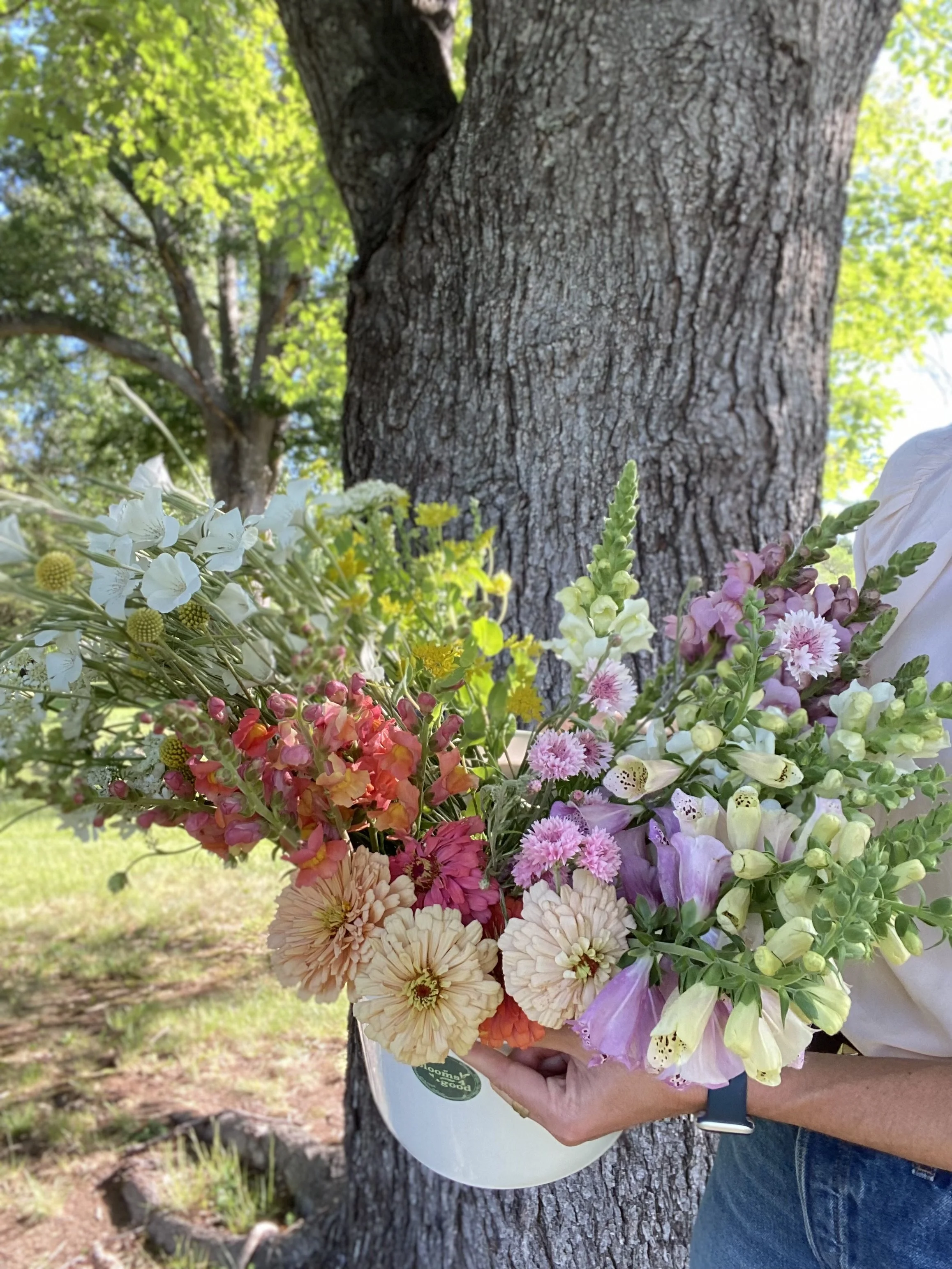 pop up shop: bloom bucket