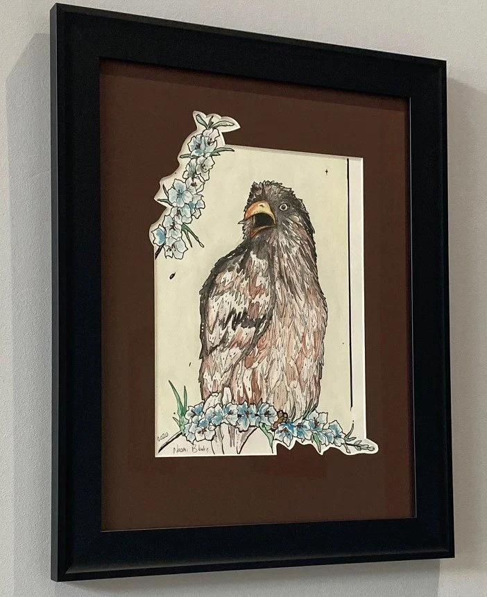 Hawk Eye - Water colour and ink 14x17