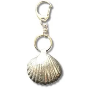 Chi-Shell.jpg