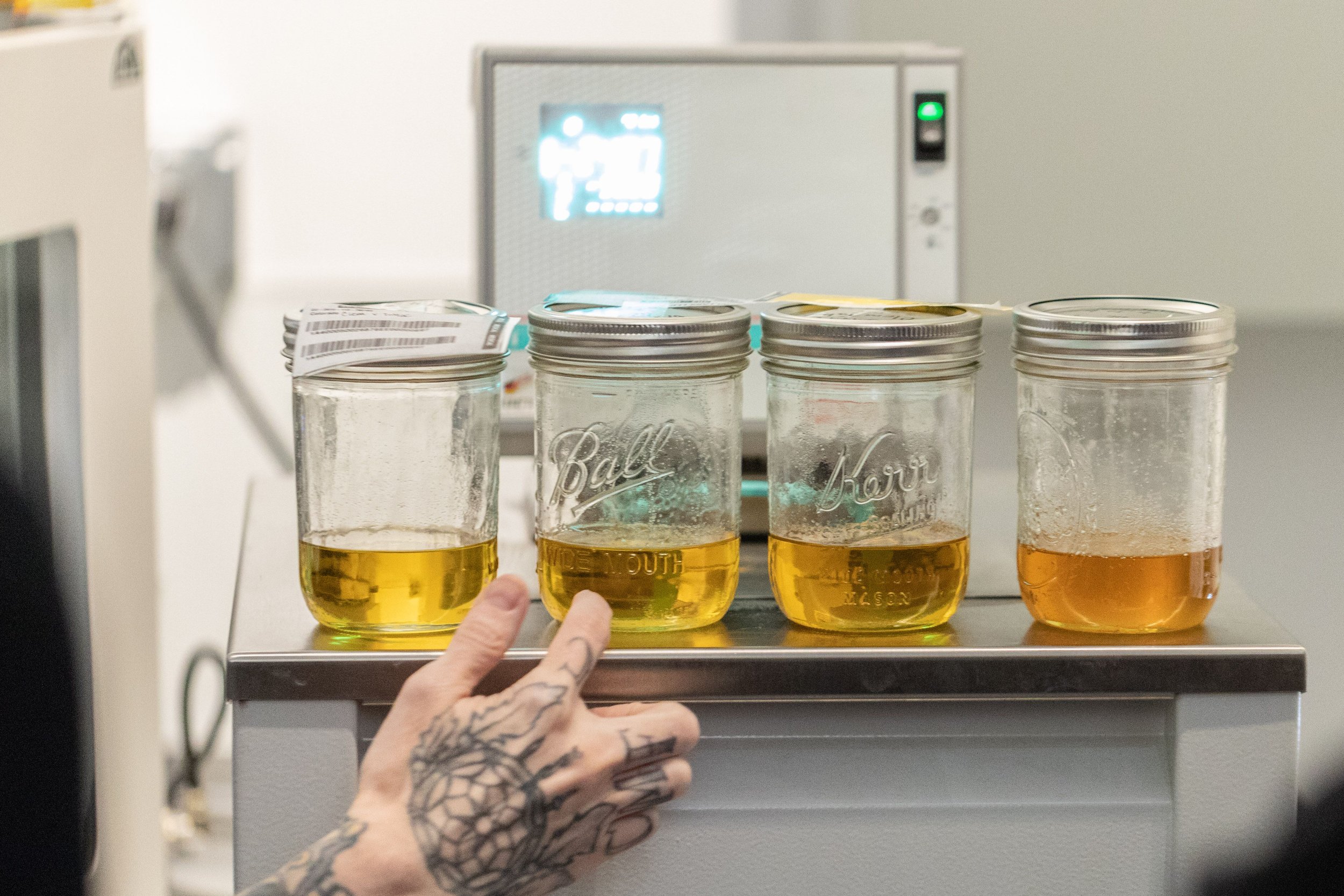 Four glass jars filled with yellow liquid on a lab counter, with a tattooed hand resting on the edge, and a laboratory machine in the background.