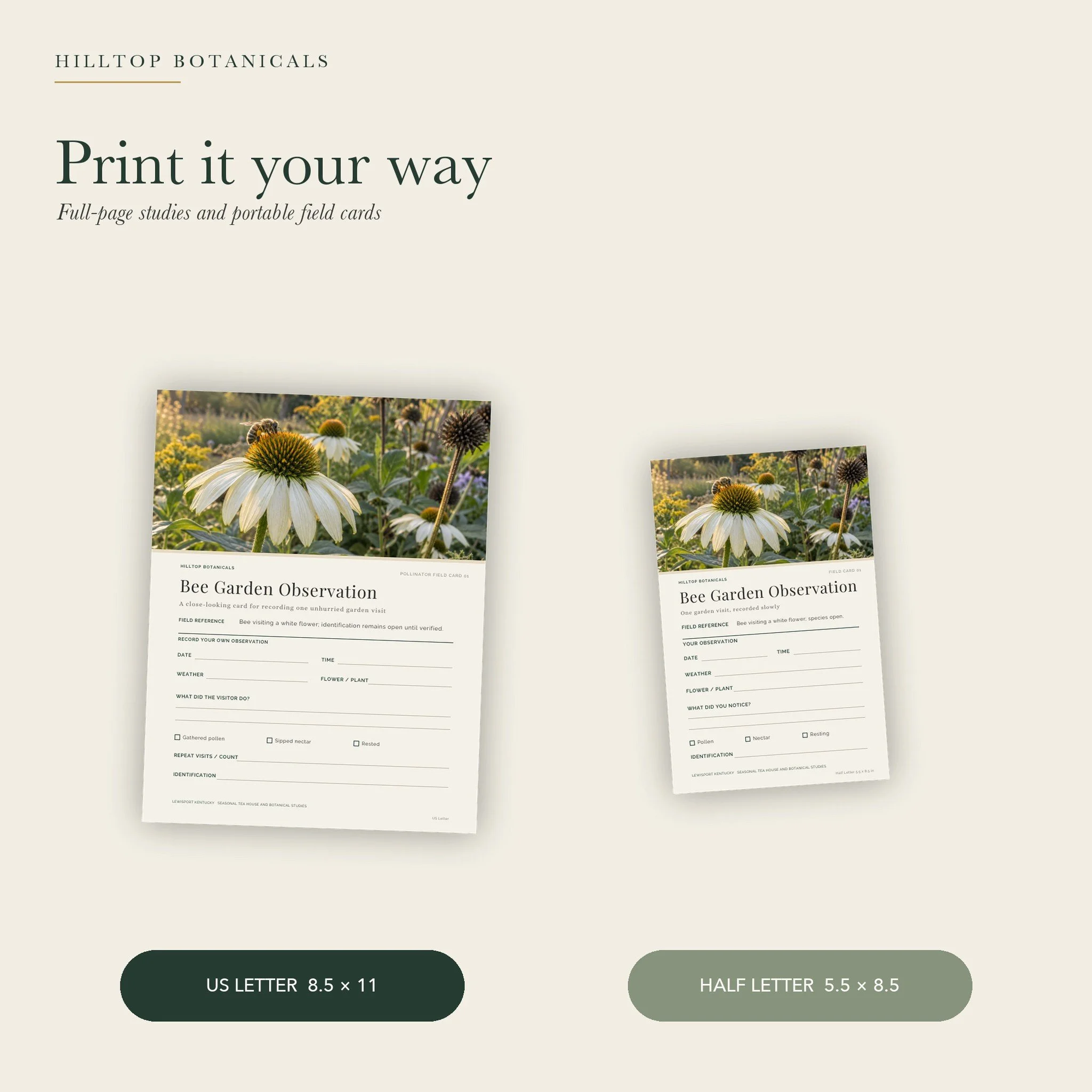 06-two-print-sizes_squarespace.jpg