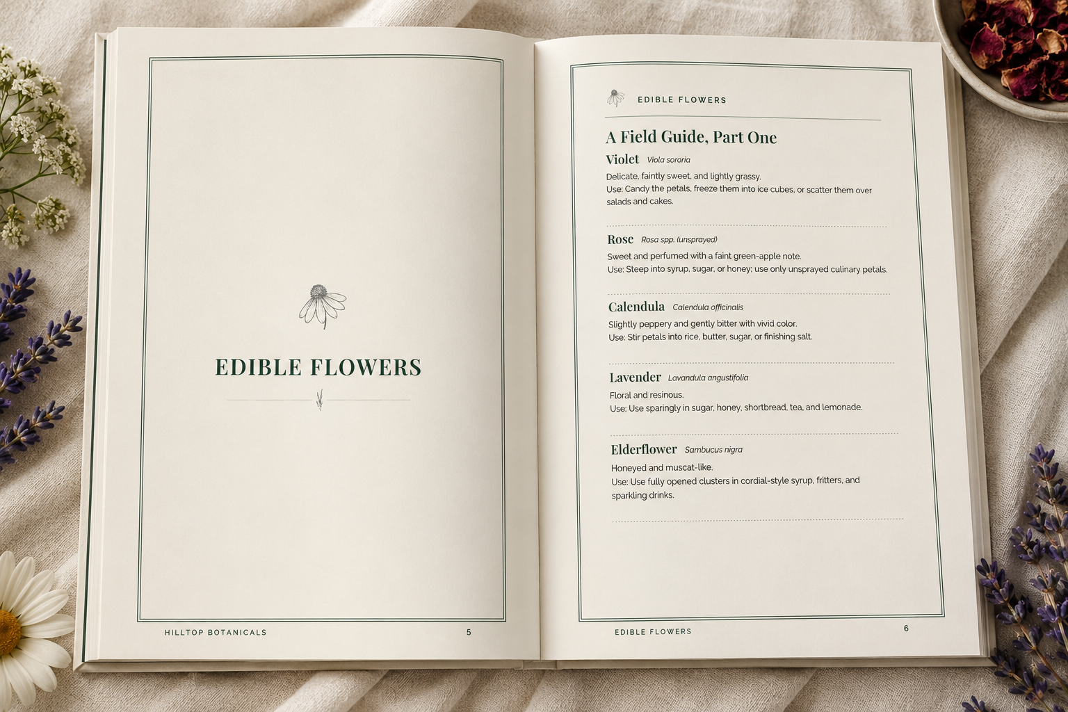 HB-recipe-book-interior-1.png
