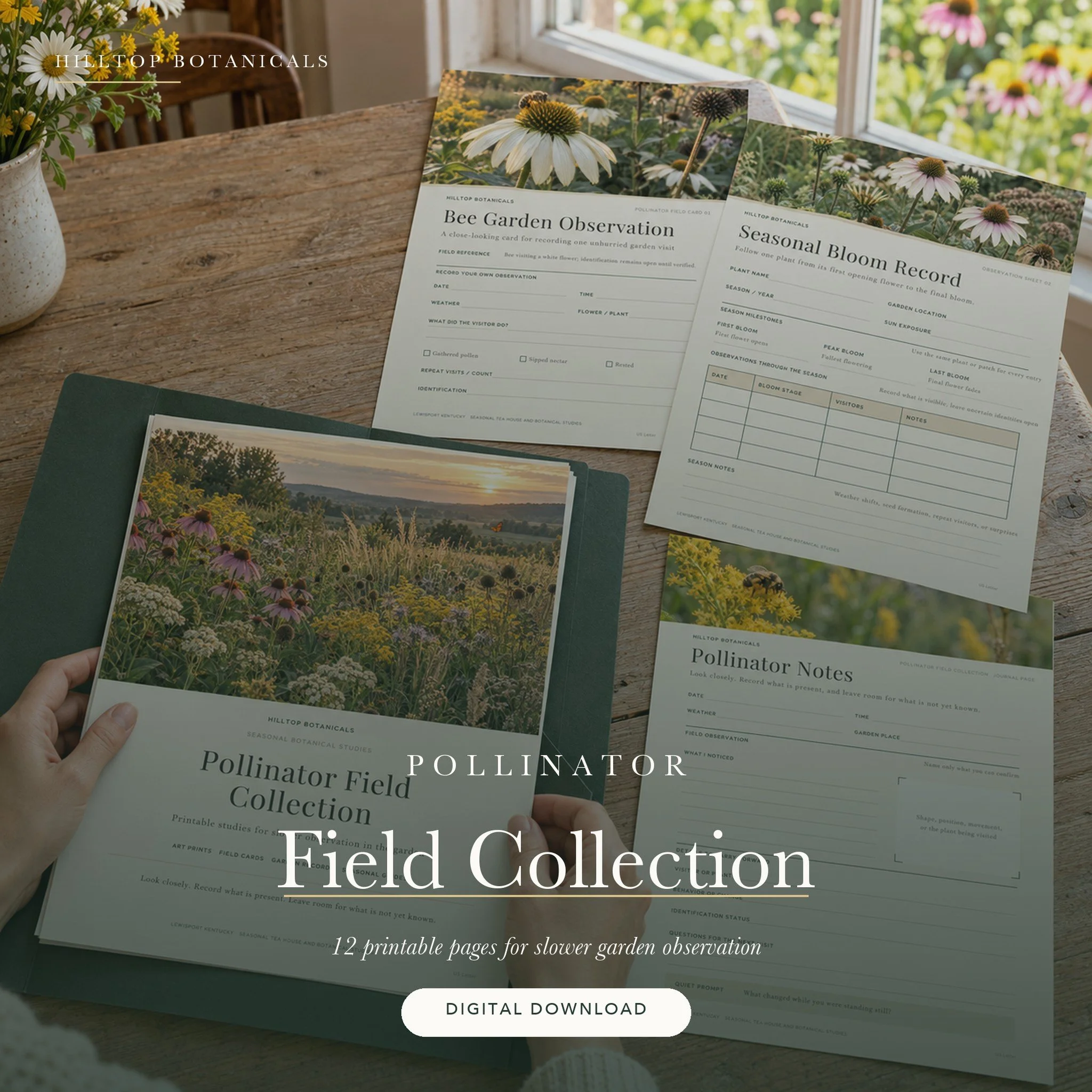 01-hero-pollinator-field-collection_squarespace.jpg