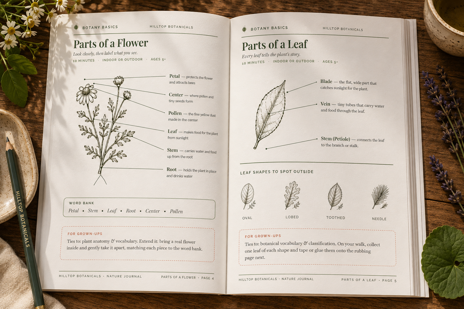 Hilltop-Nature-Workbook-3.png