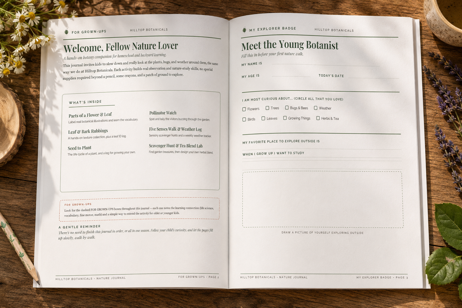Hilltop-Nature-Workbook-2.png