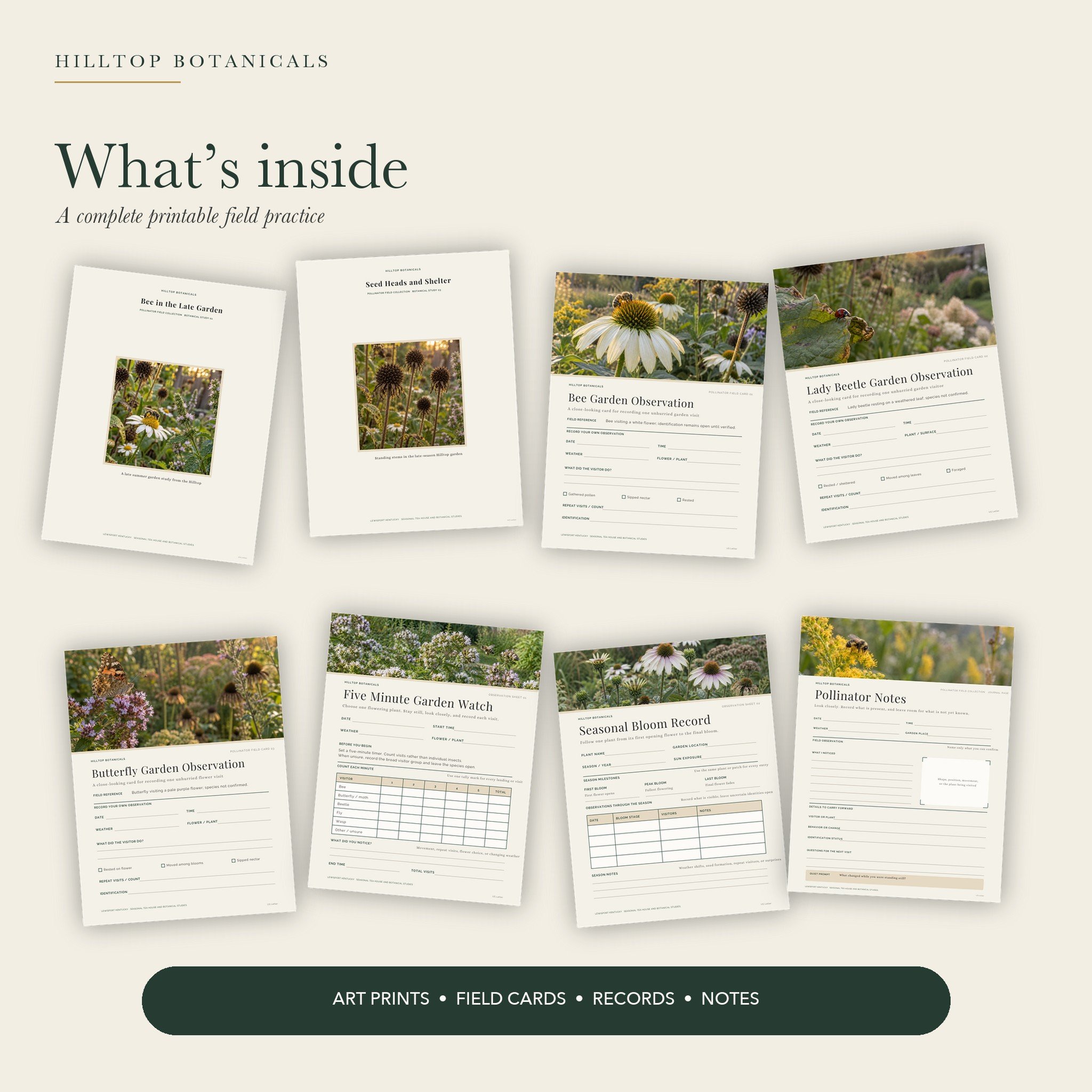 02-whats-inside_squarespace.jpg