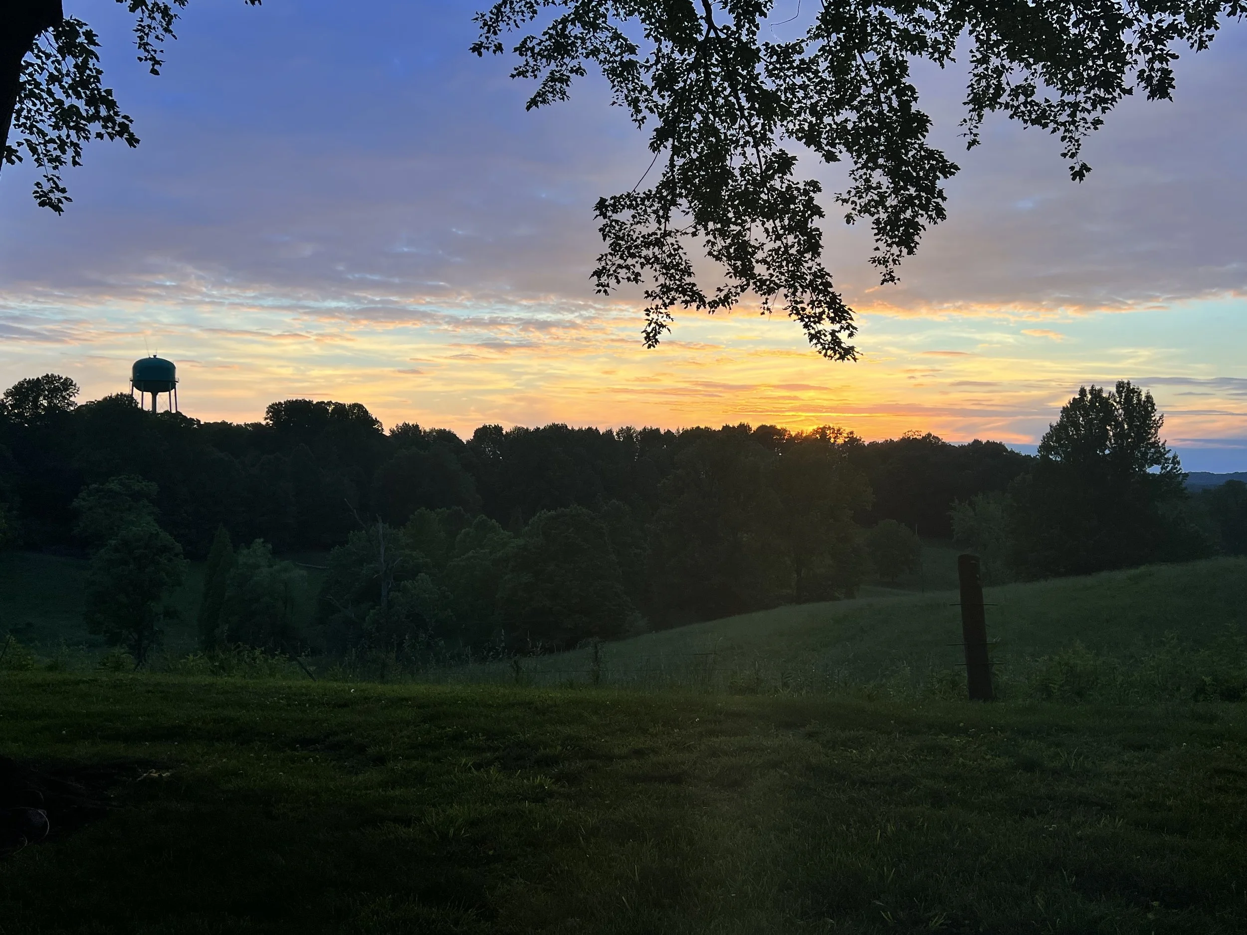 IMG_6128.jpeg