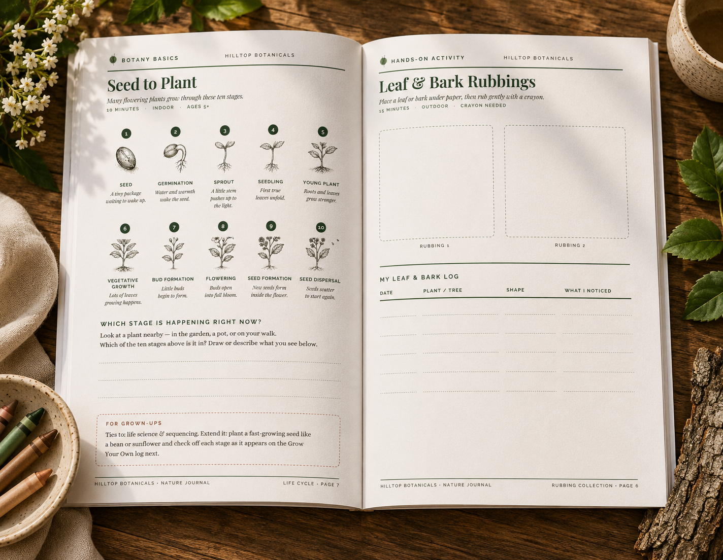Hilltop-Nature-Workbook-4.png