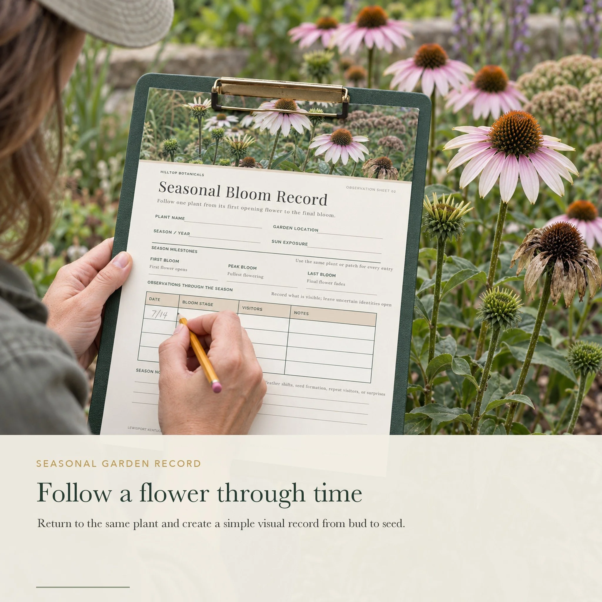 05-seasonal-record-in-use_squarespace.jpg