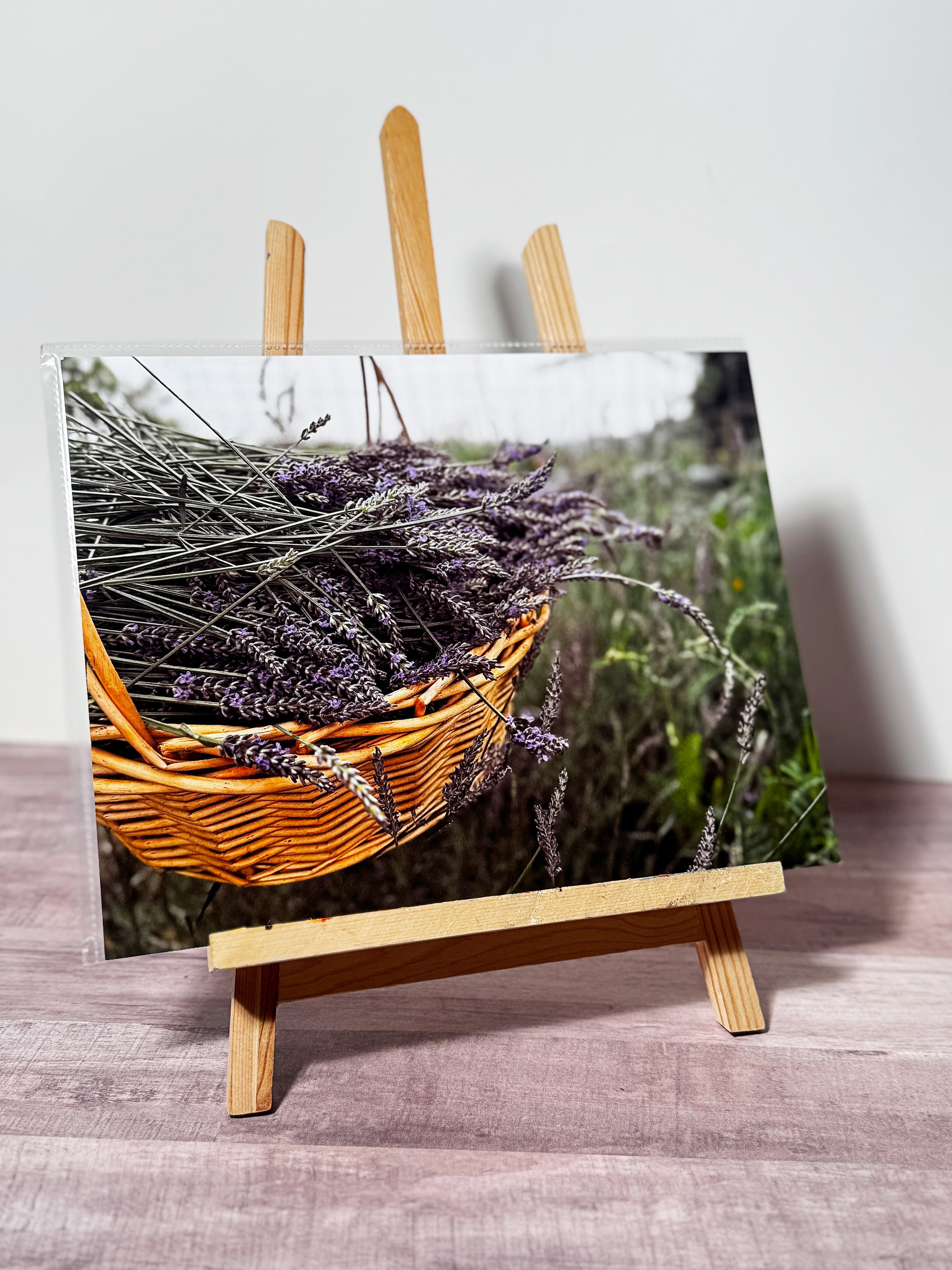 Hilltop Lavender Harvest — Fine Art Photography Print