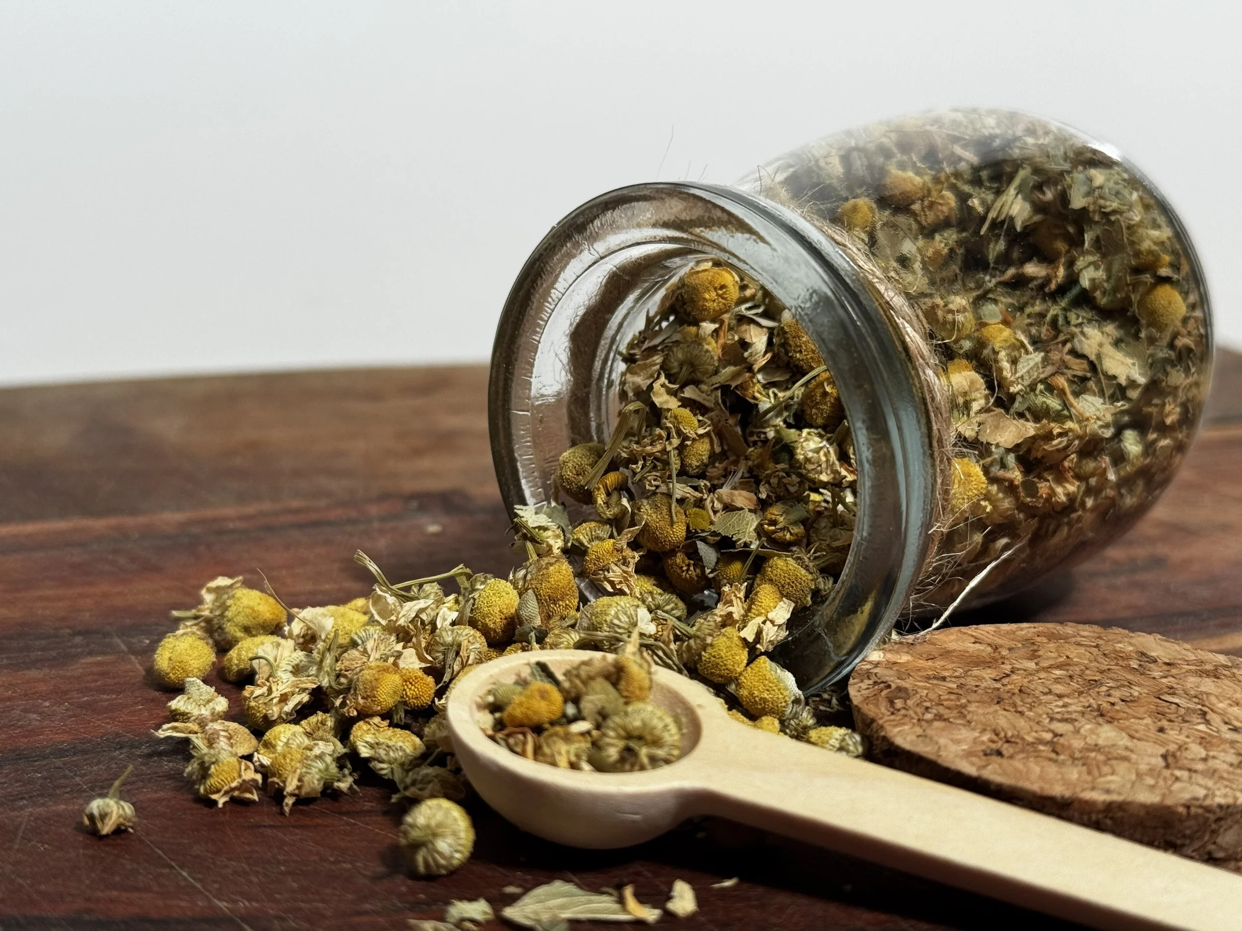 Golden Chamomile