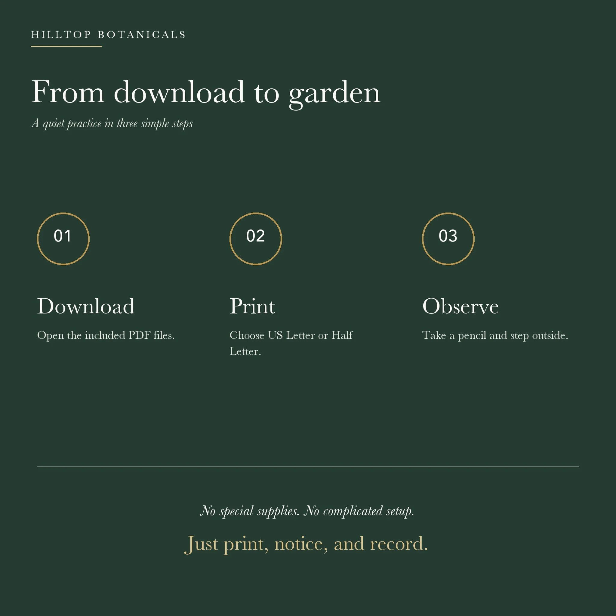 07-how-it-works_squarespace.jpg