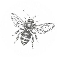 Line drawing of a bee with detailed wings, body, and legs inside a circular border.