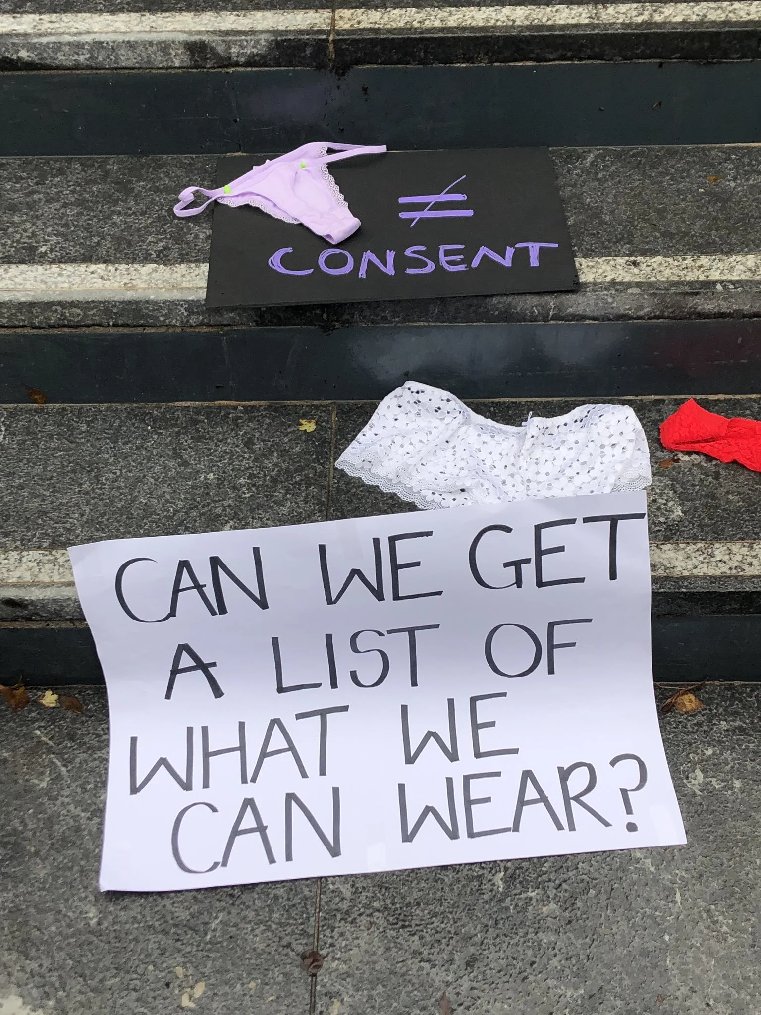 A Survivor's Reflections on Protesting at the Hockey Canada Sexual Assault Trial