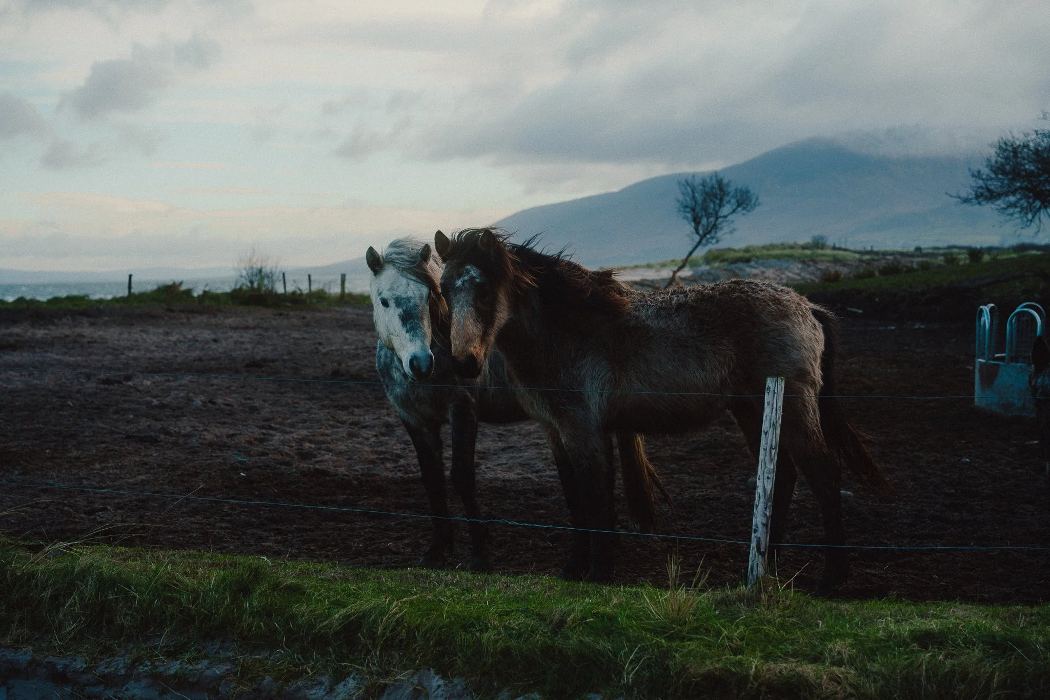 Dingle Peninsula Kerry Ireland5.JPG