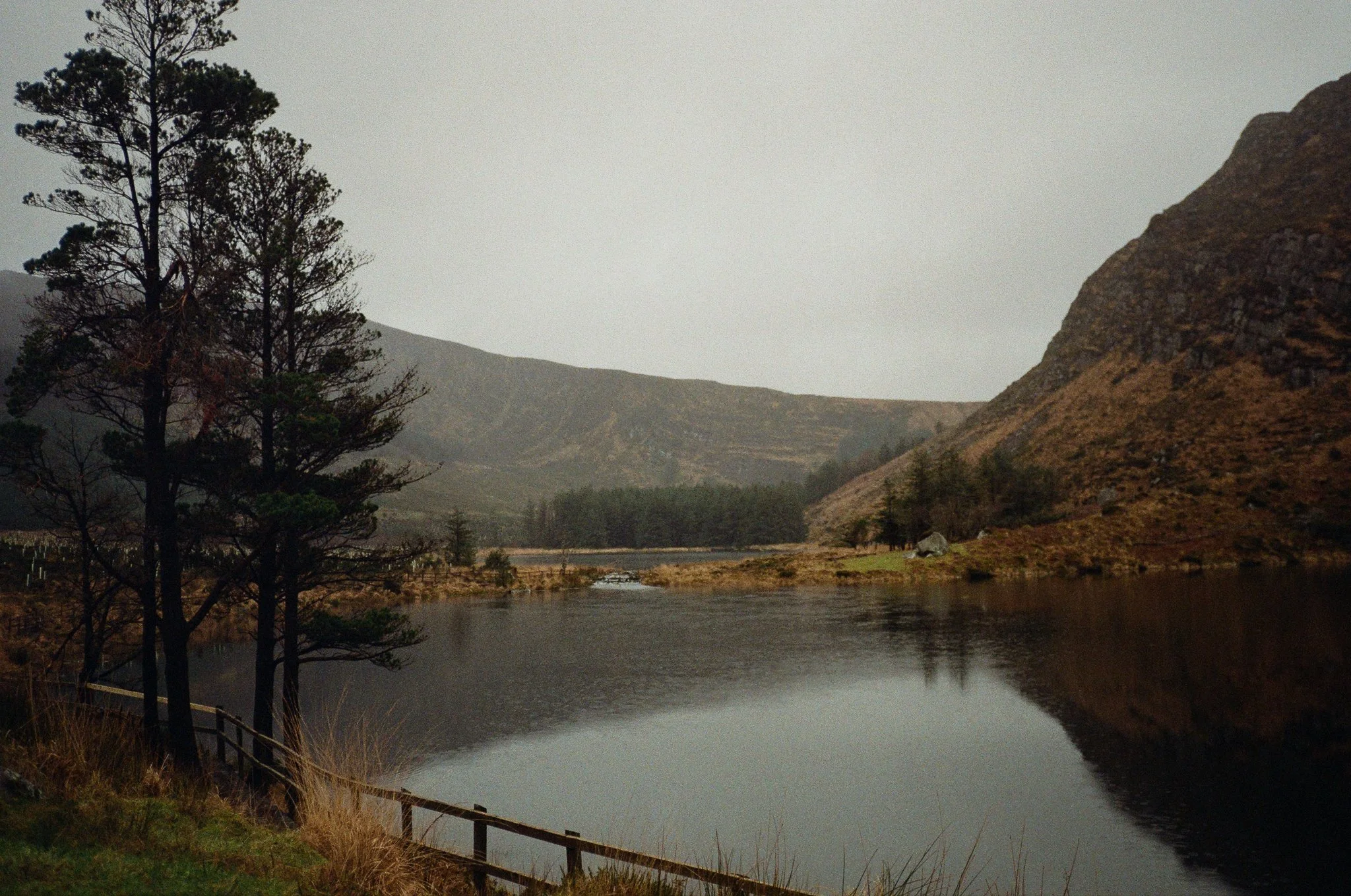 Film Cinestil-26.jpg