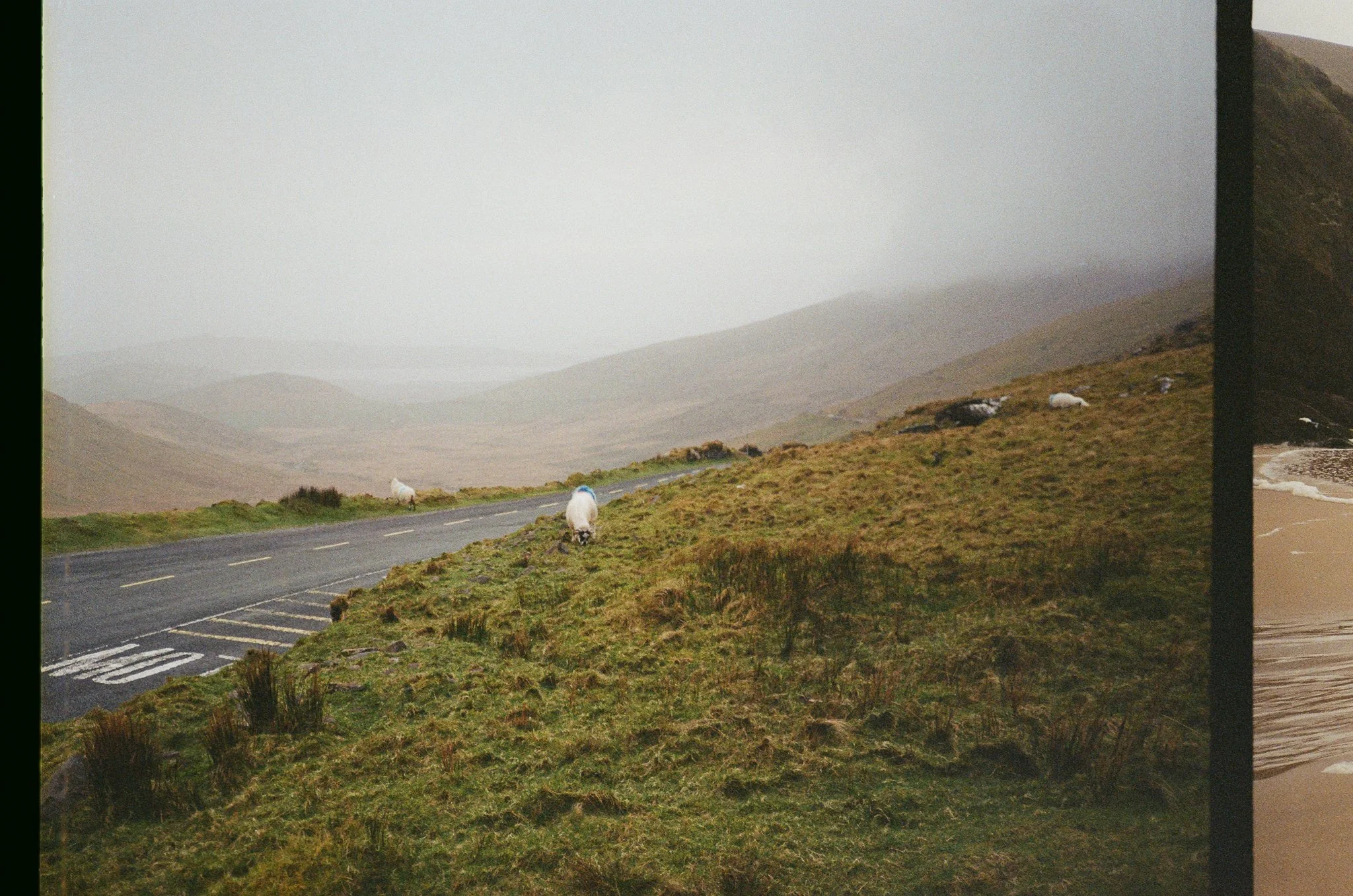 Ireland Kerry -47.jpg