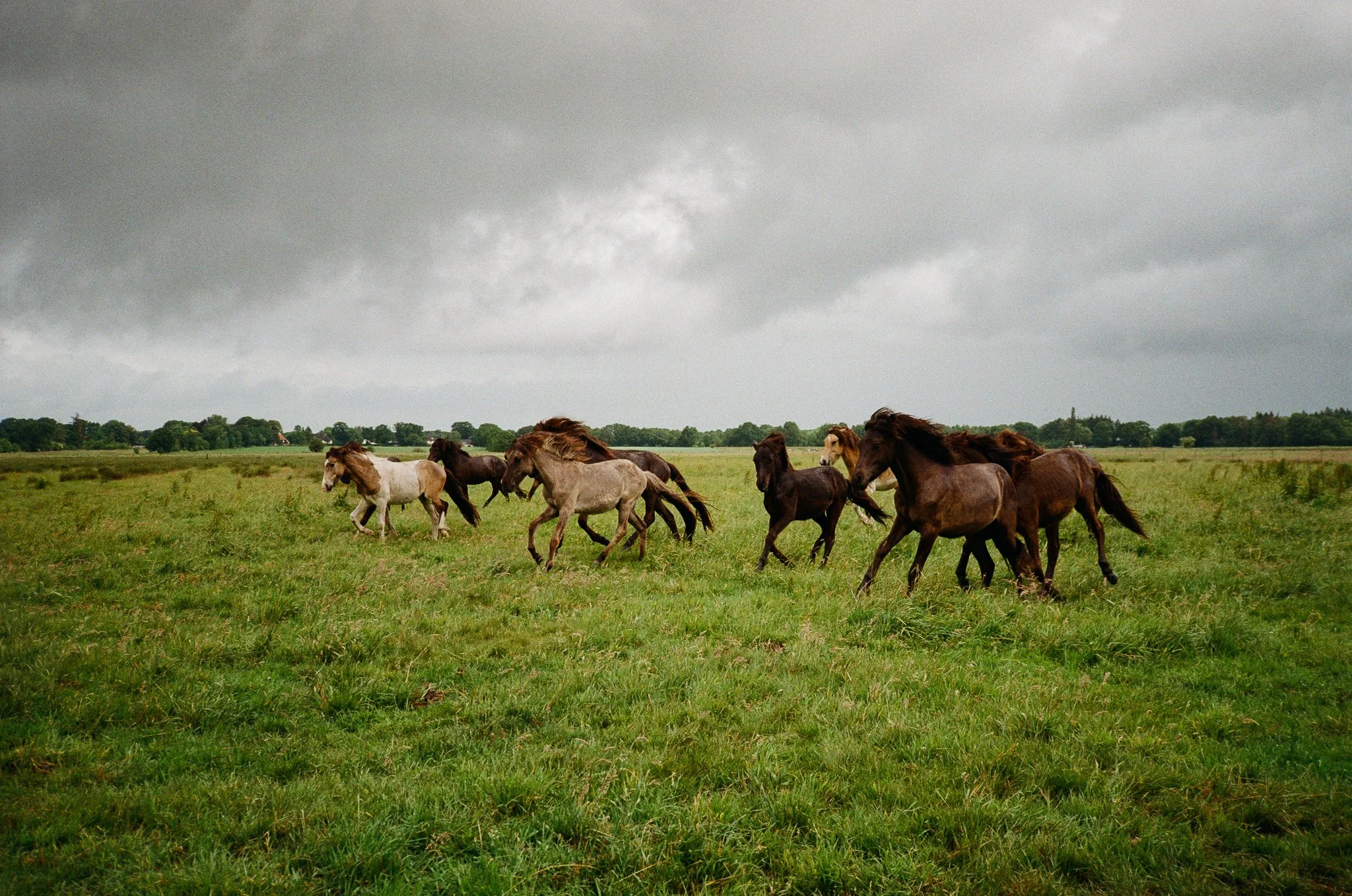 Film Cinestil-64.jpg