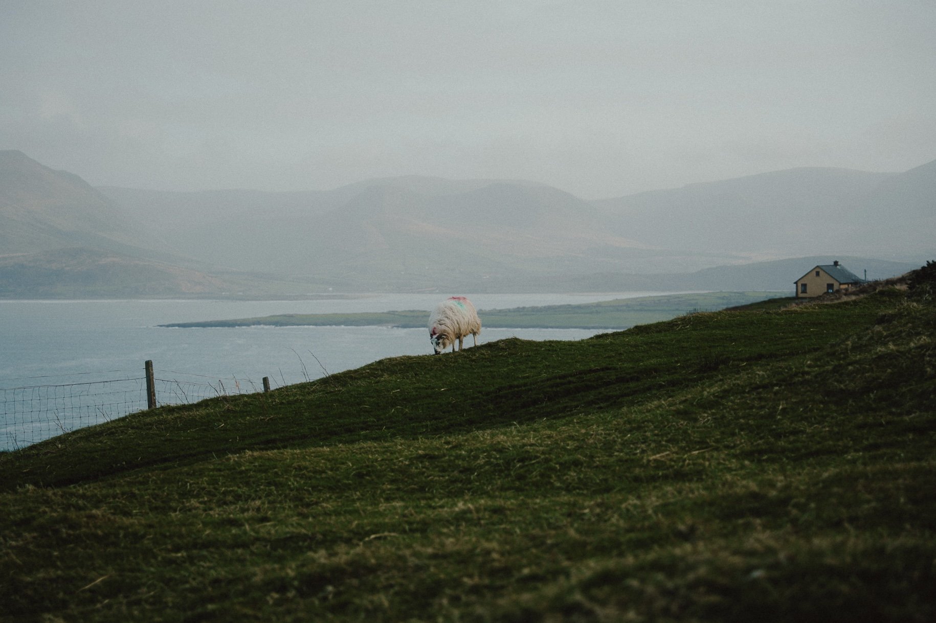 Dingle Peninsula Kerry Ireland9.jpg