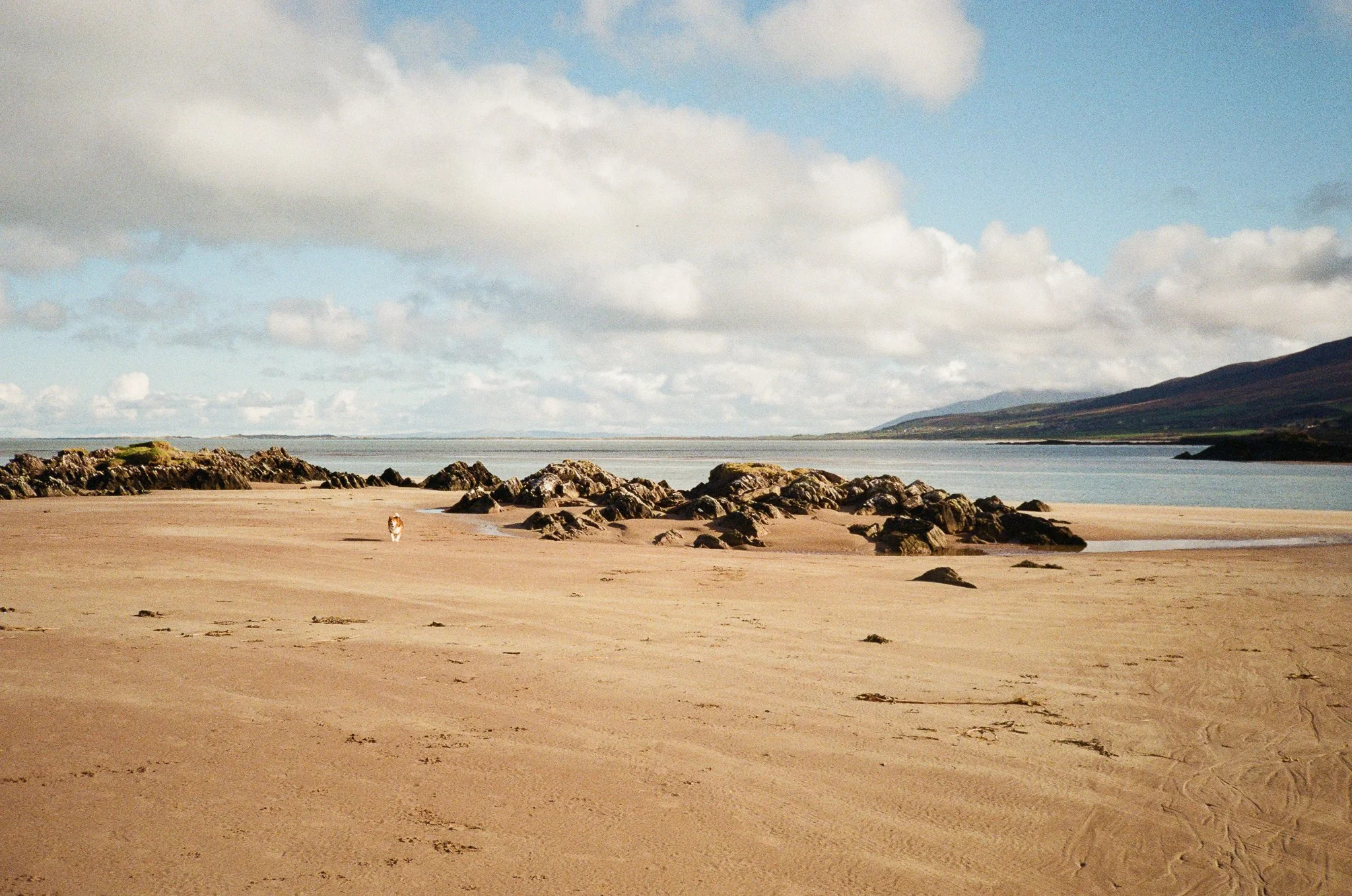 Ireland Kerry -82.jpg