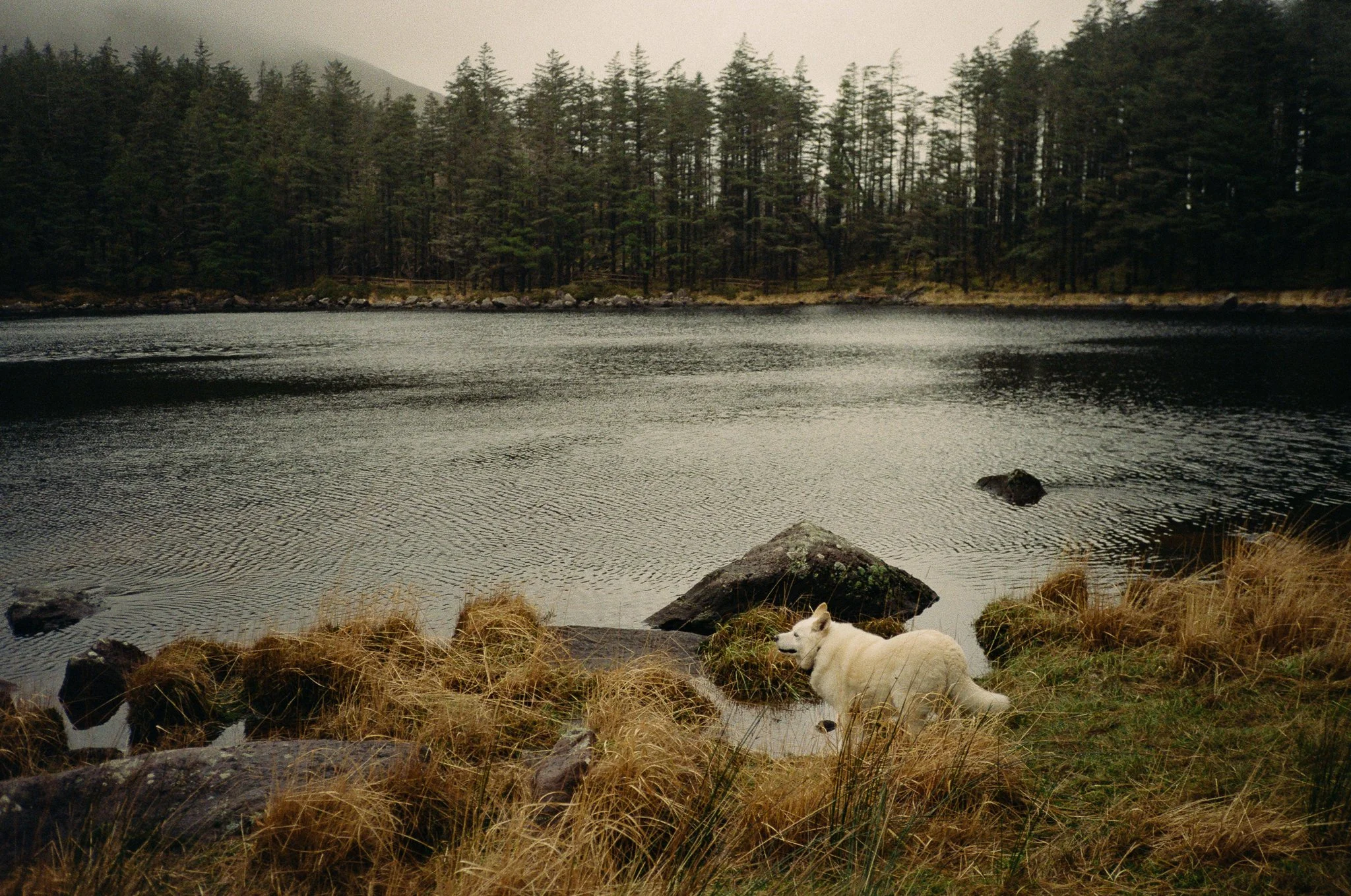 Film Cinestil-36.jpg