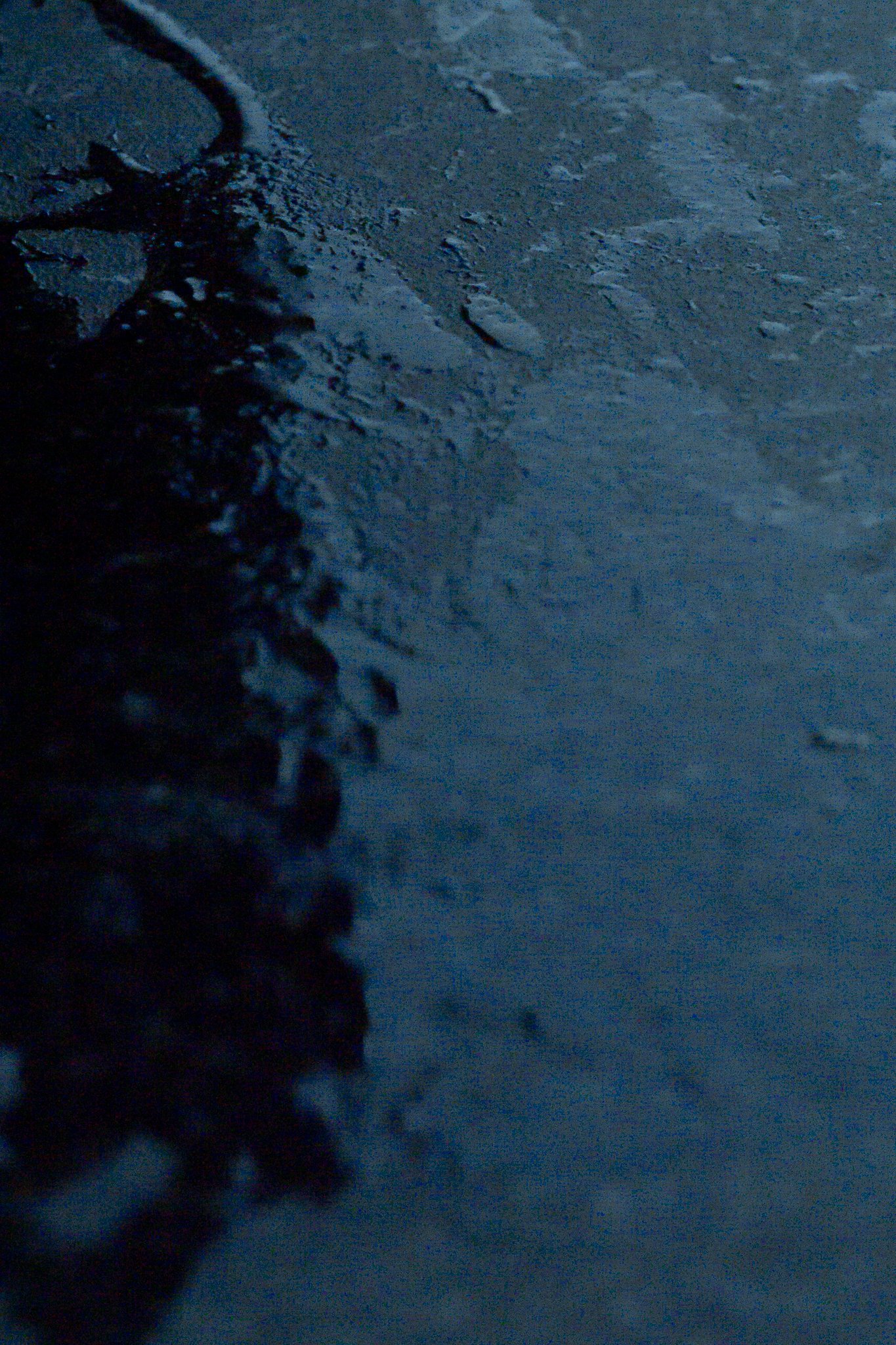 Close-up of a wet, textured surface, possibly pavement or ice, with water and small pebble-like particles.