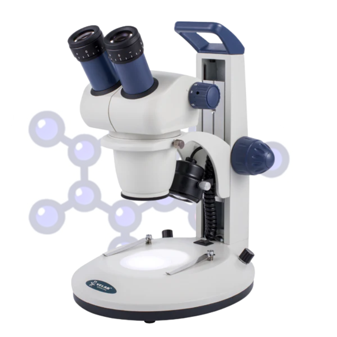 Microscopio Estereoscópico Zoom Profesional