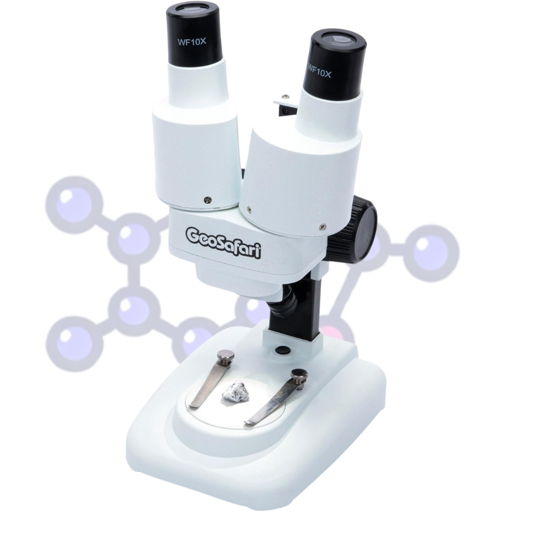 Microscopio Estereoscópico Educativo Básico para Escuelas