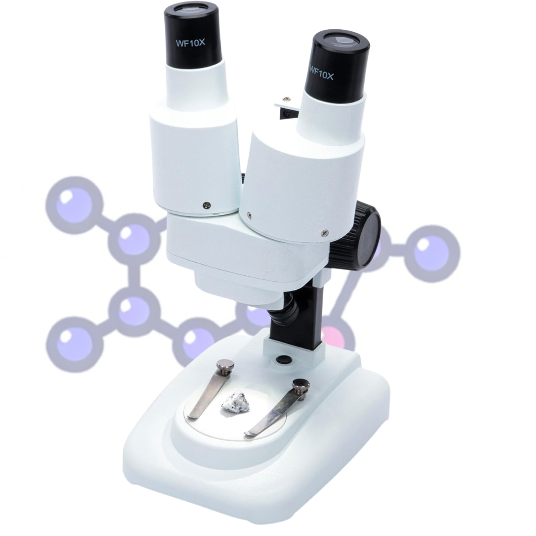 Microscopio Estereoscópico Educativo Básico para Escuelas