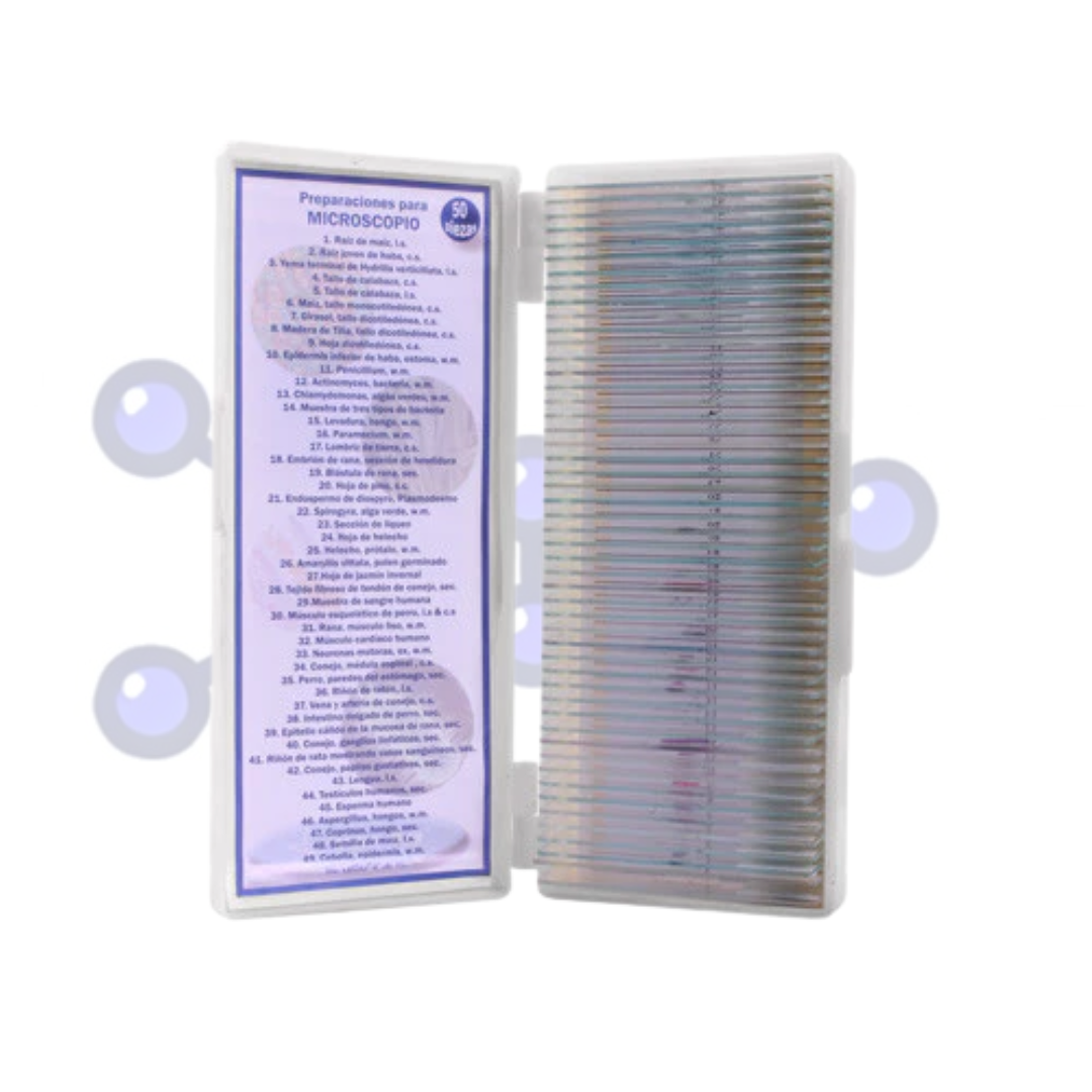 laminillas-preparadas-microscopio