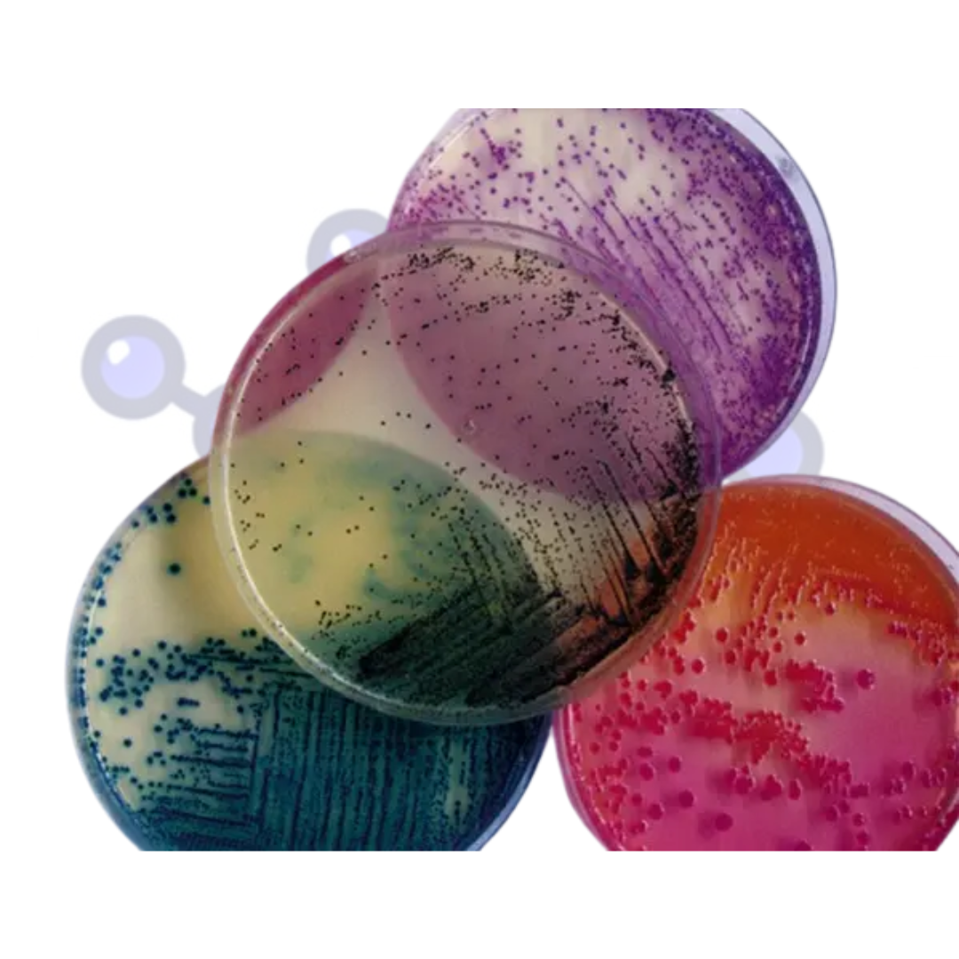agar-hierro-lisina-oslabs