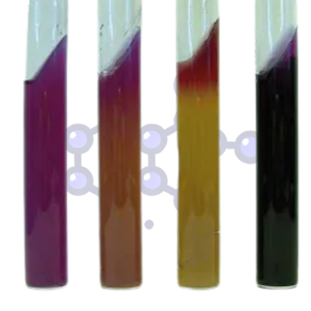 agar-lia-enterobacterias