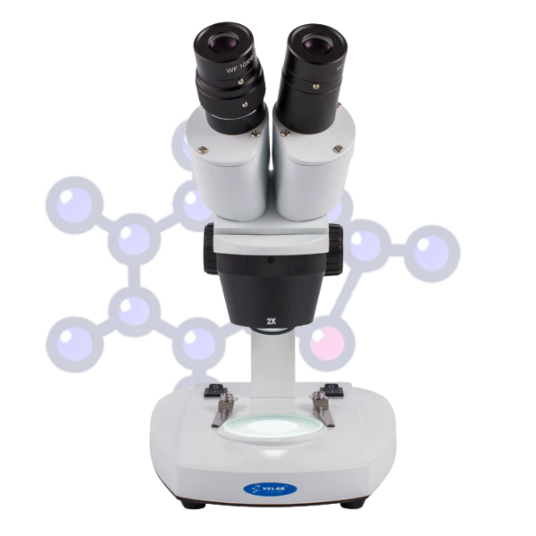 microscopio-de-diseccion-estereoscopico