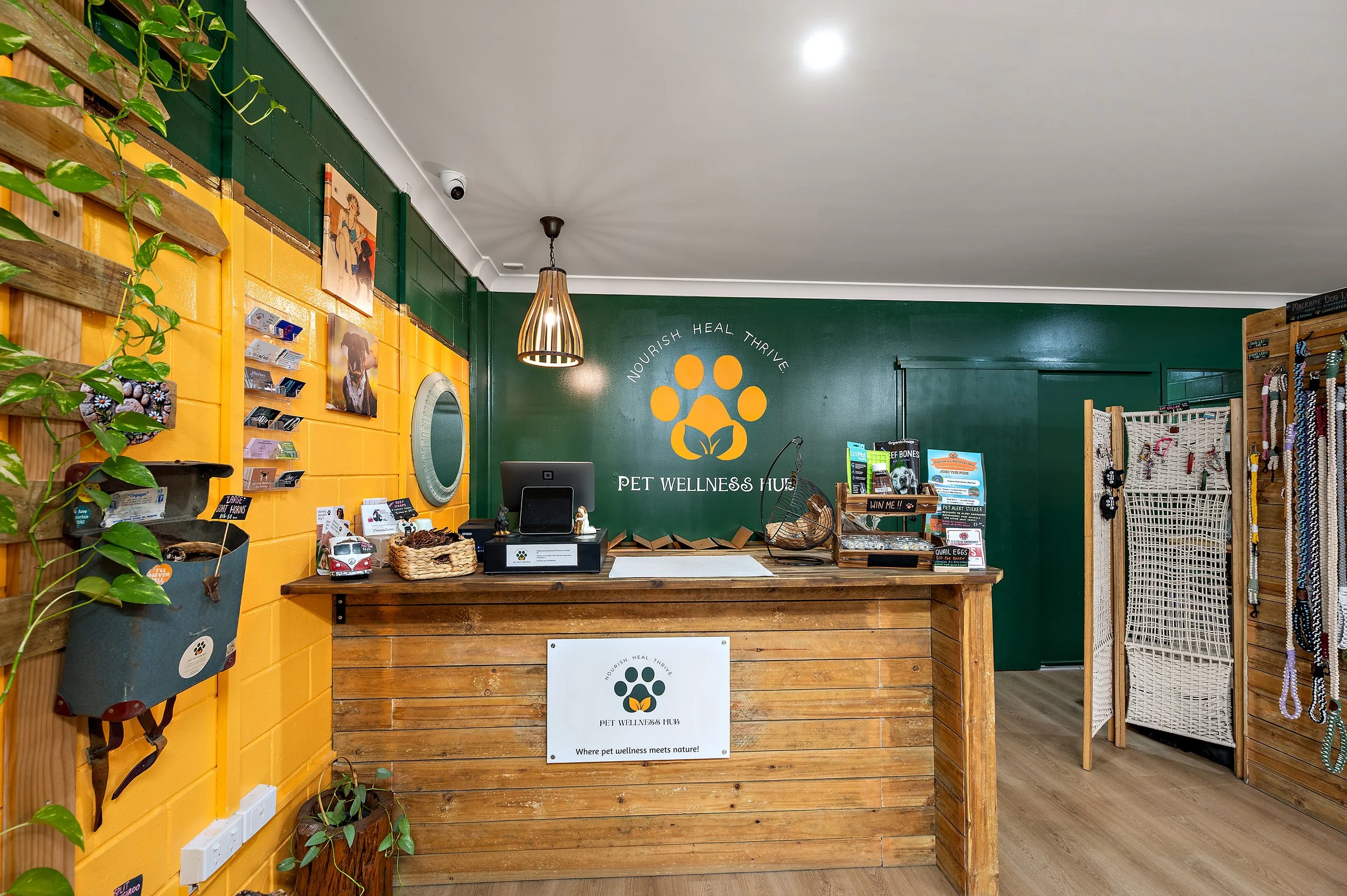 Commercial photography of a Bundaberg team collaborating in a modern workplace, ideal for company websites, marketing and social media branding