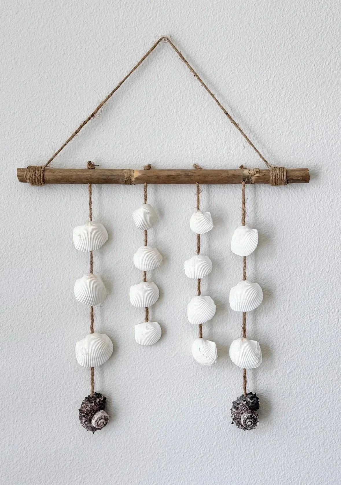 Sea Shell and Driftwood Hanging