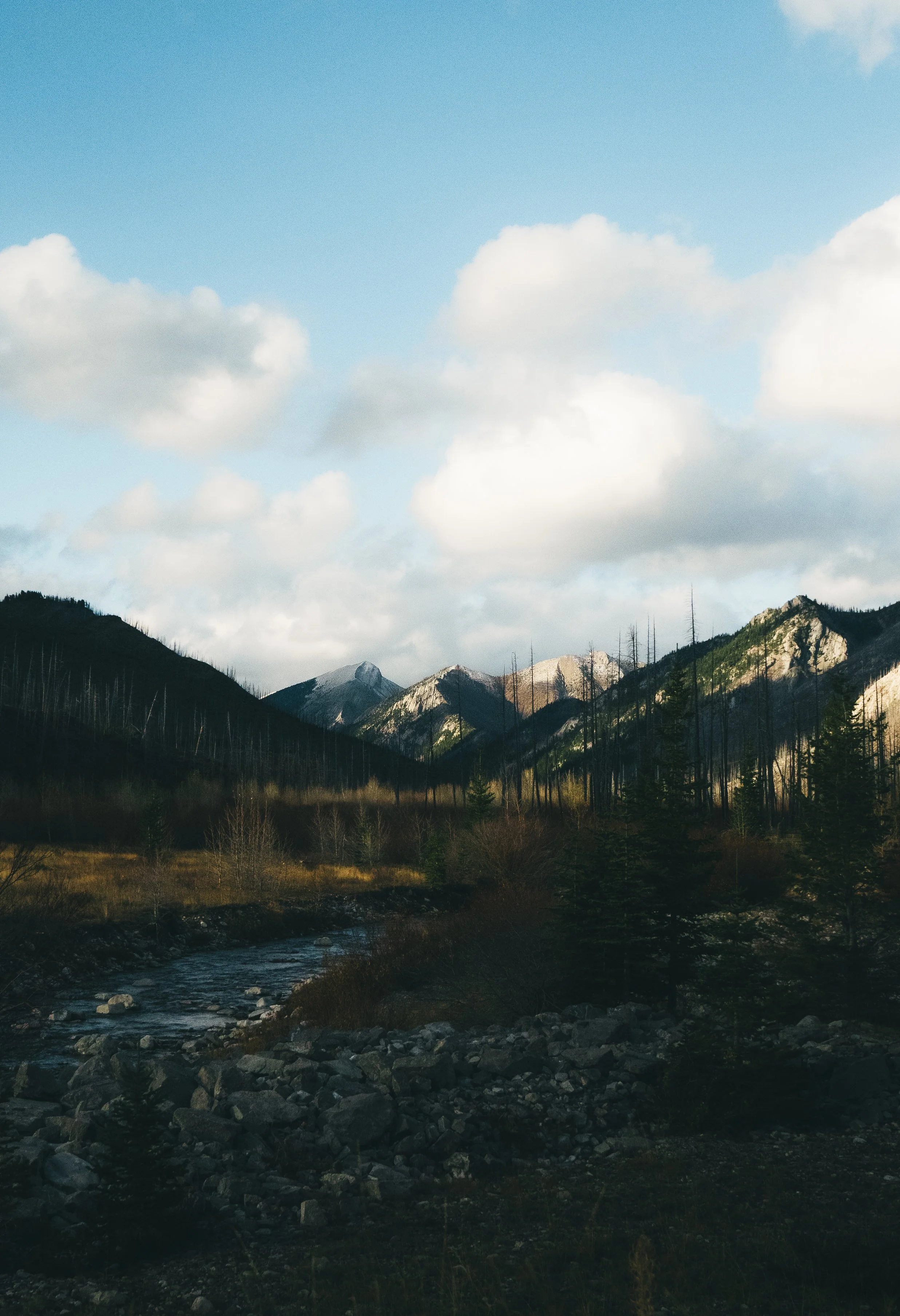 Late October in The Bob