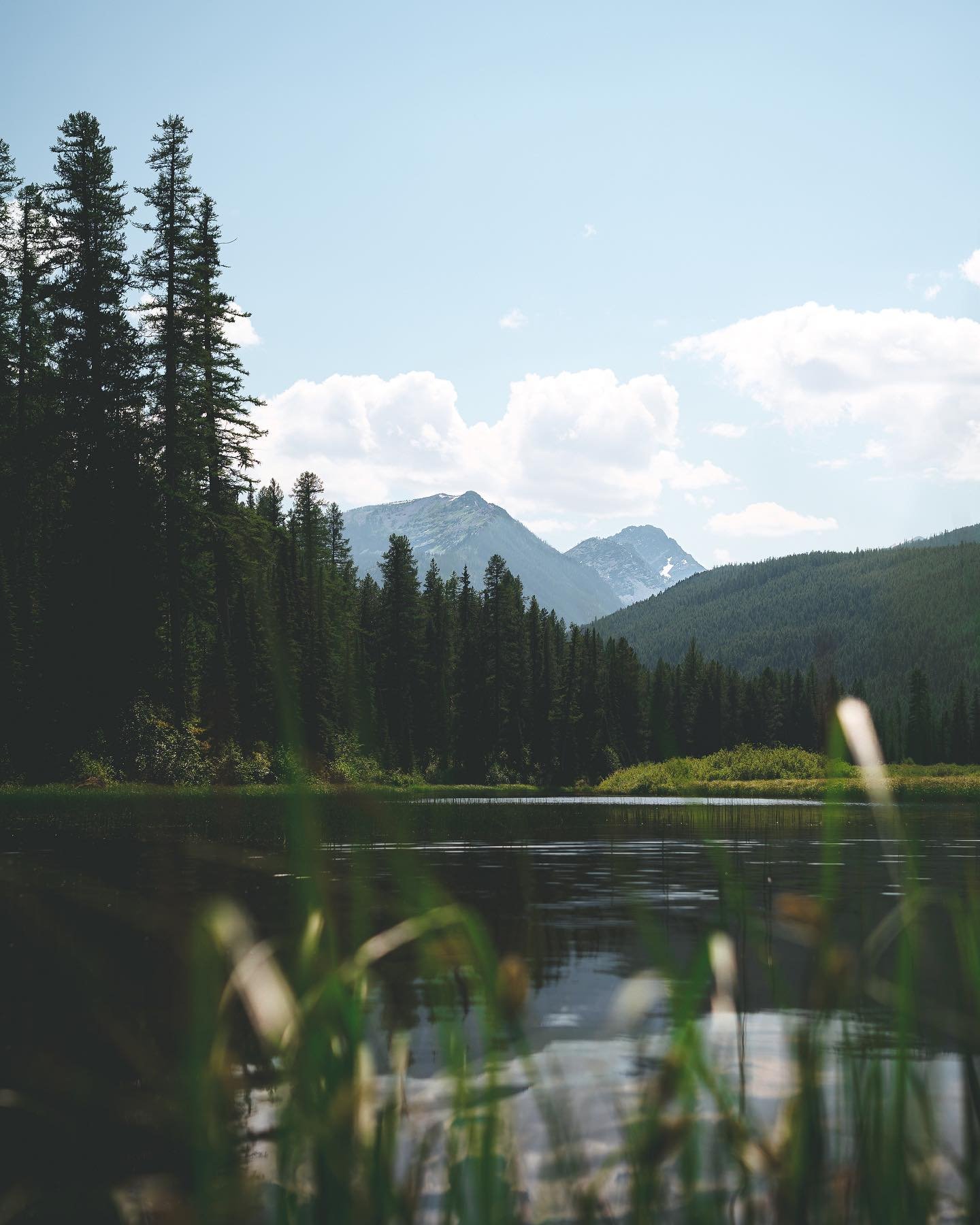 Sit and stay awhile.