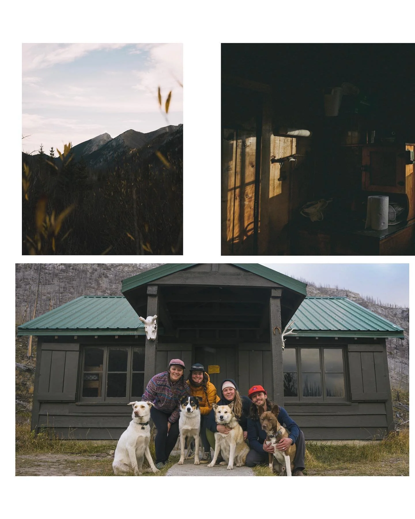Dogs, friends, fossils, and mountain cabins in northern Montana.
