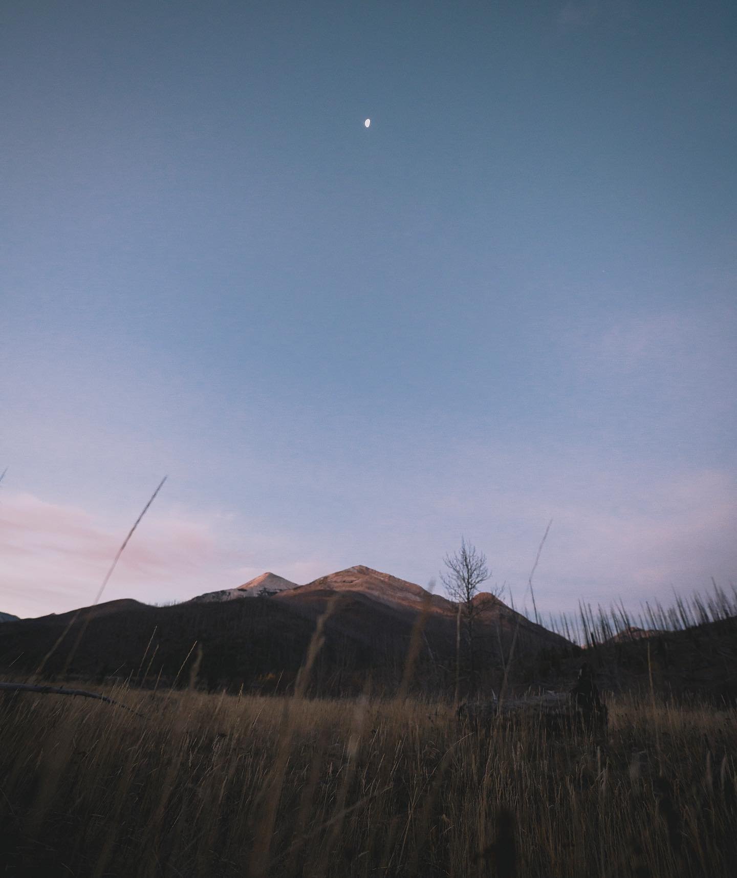 Montana Moonrise