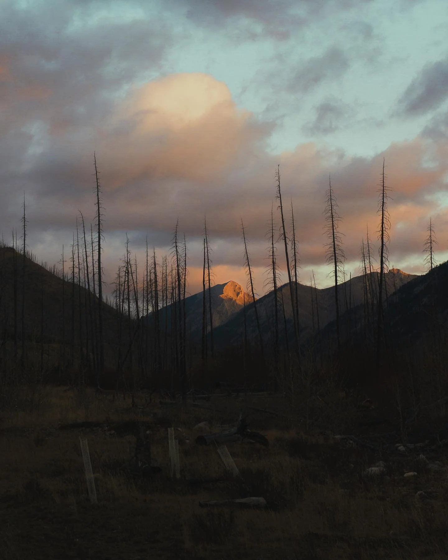 Sunrise from the valley floor