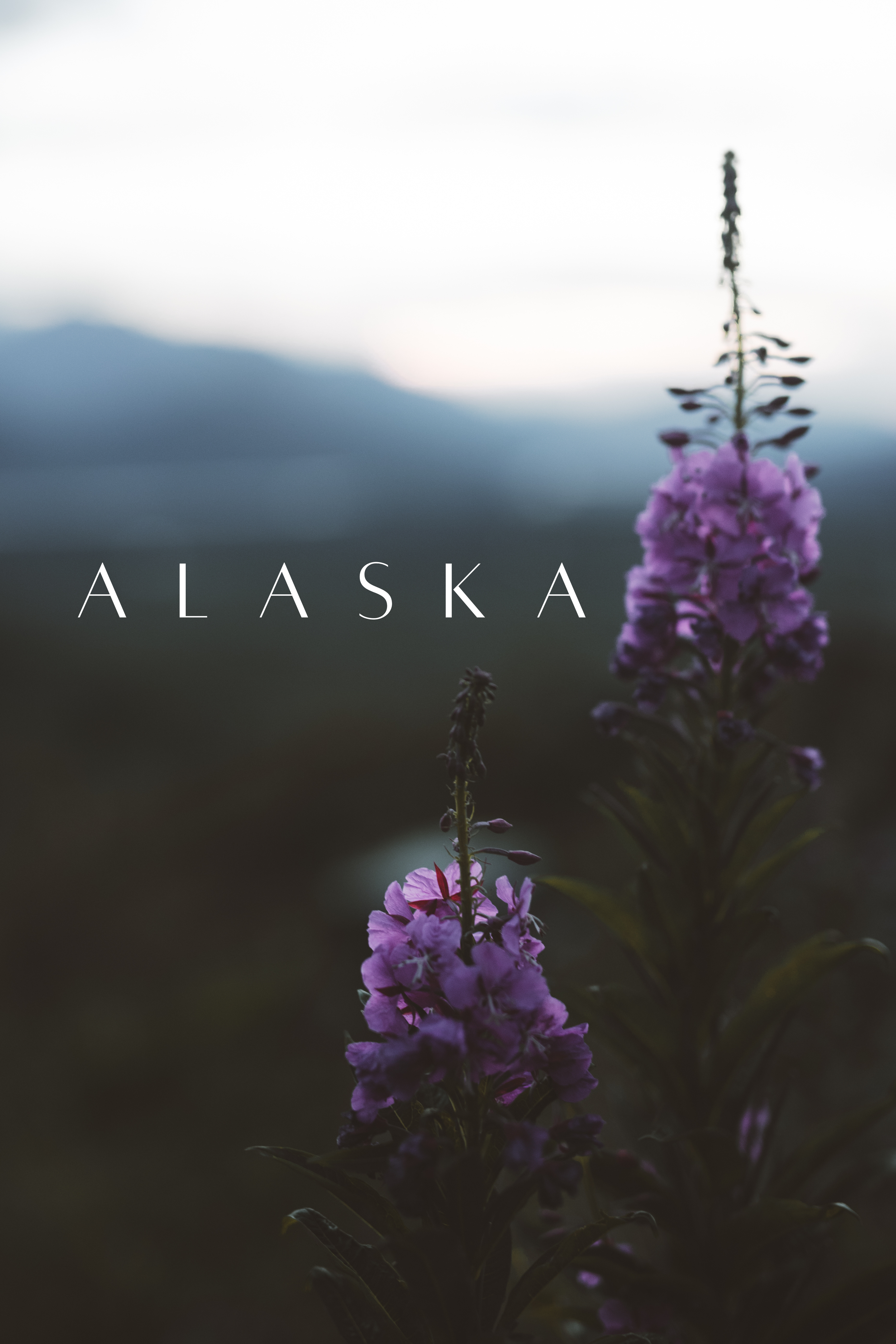 Alaska Stickers.png