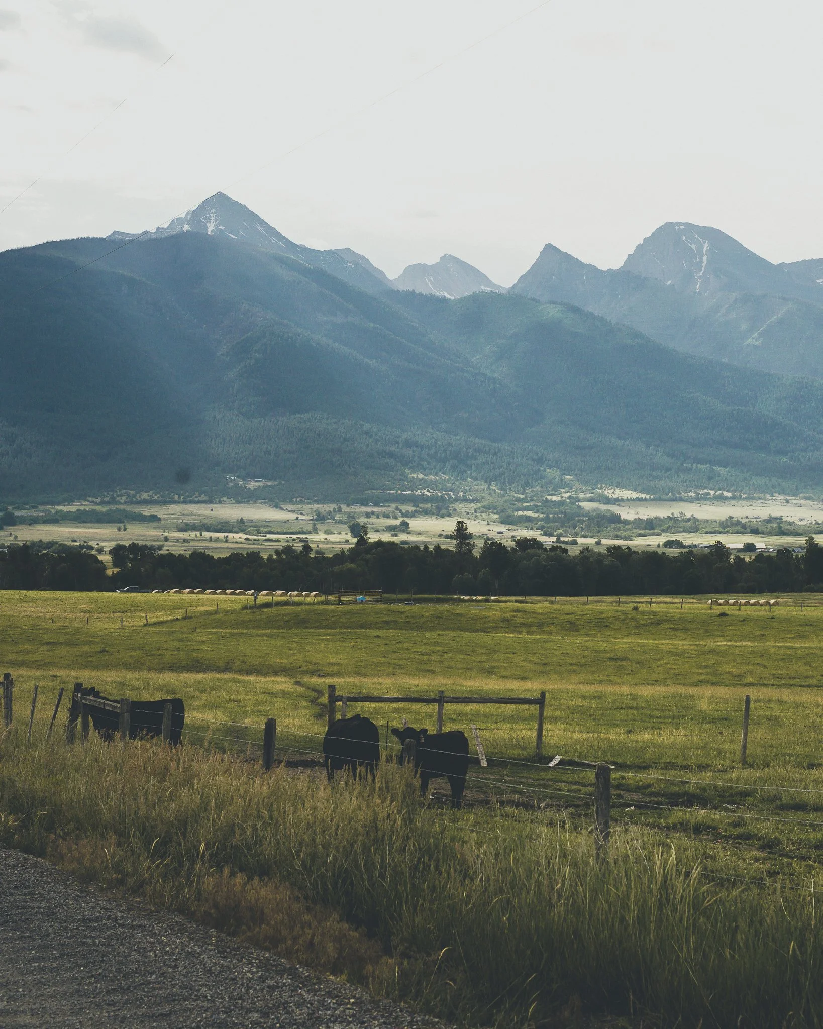 Morning in The Missions