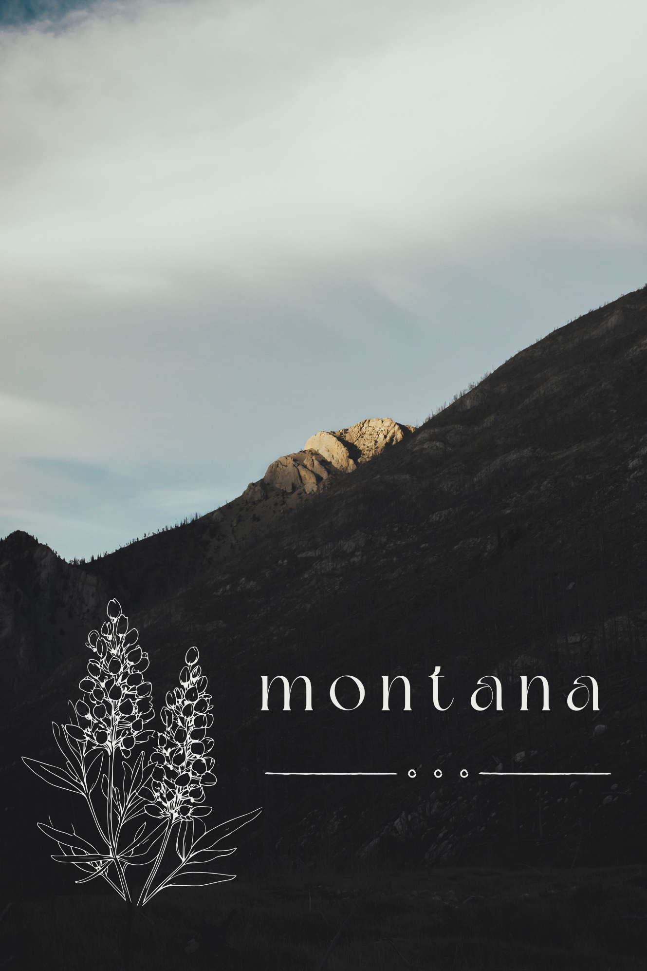 MONTANA sticker