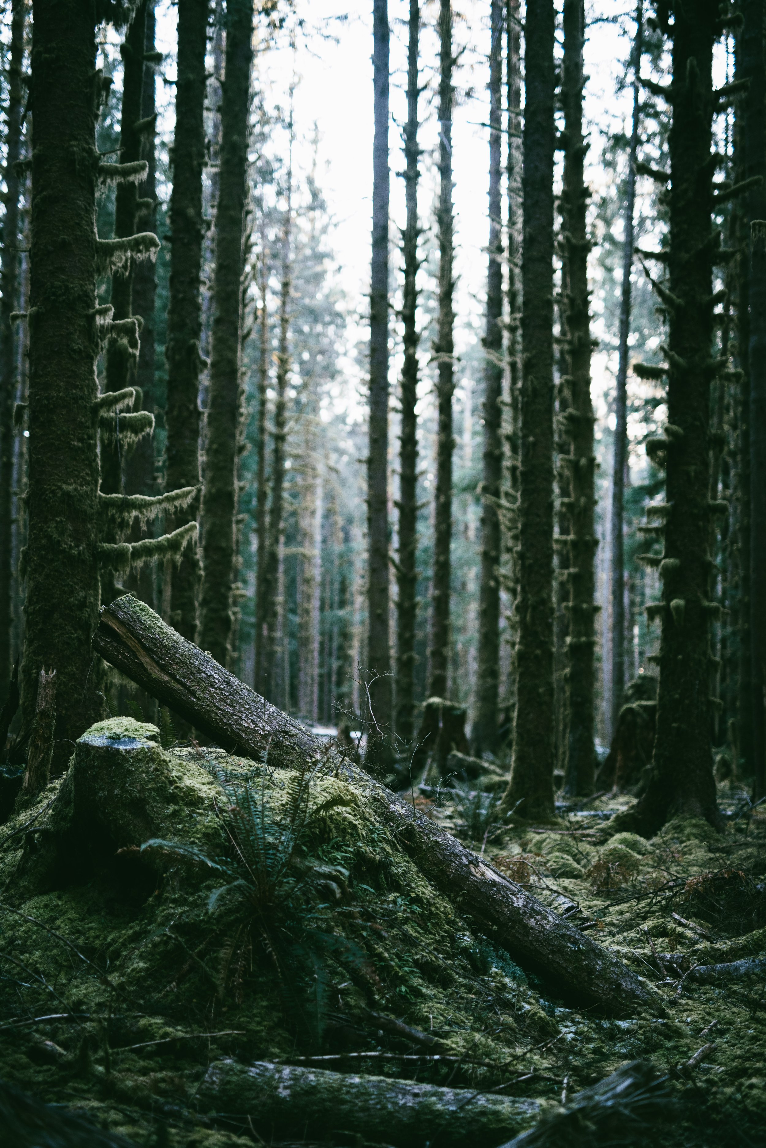 _IMG8432 2.jpg