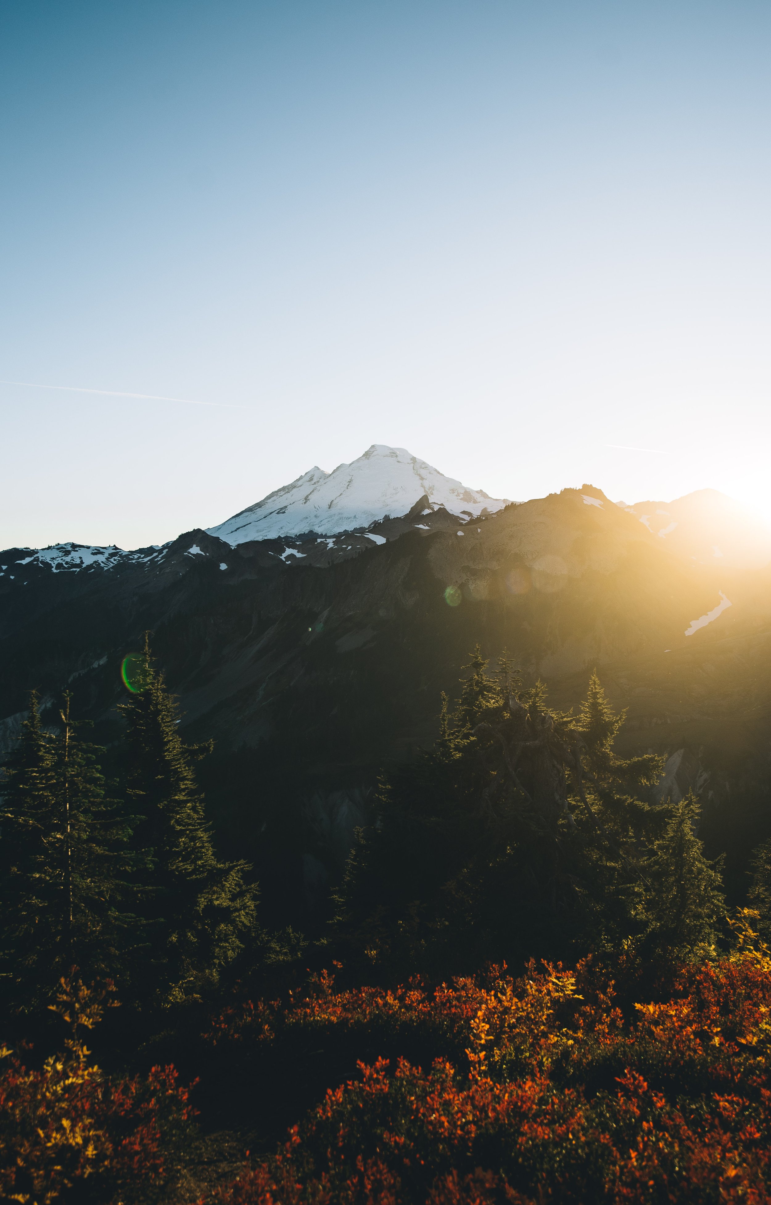 _IMG5136.jpg