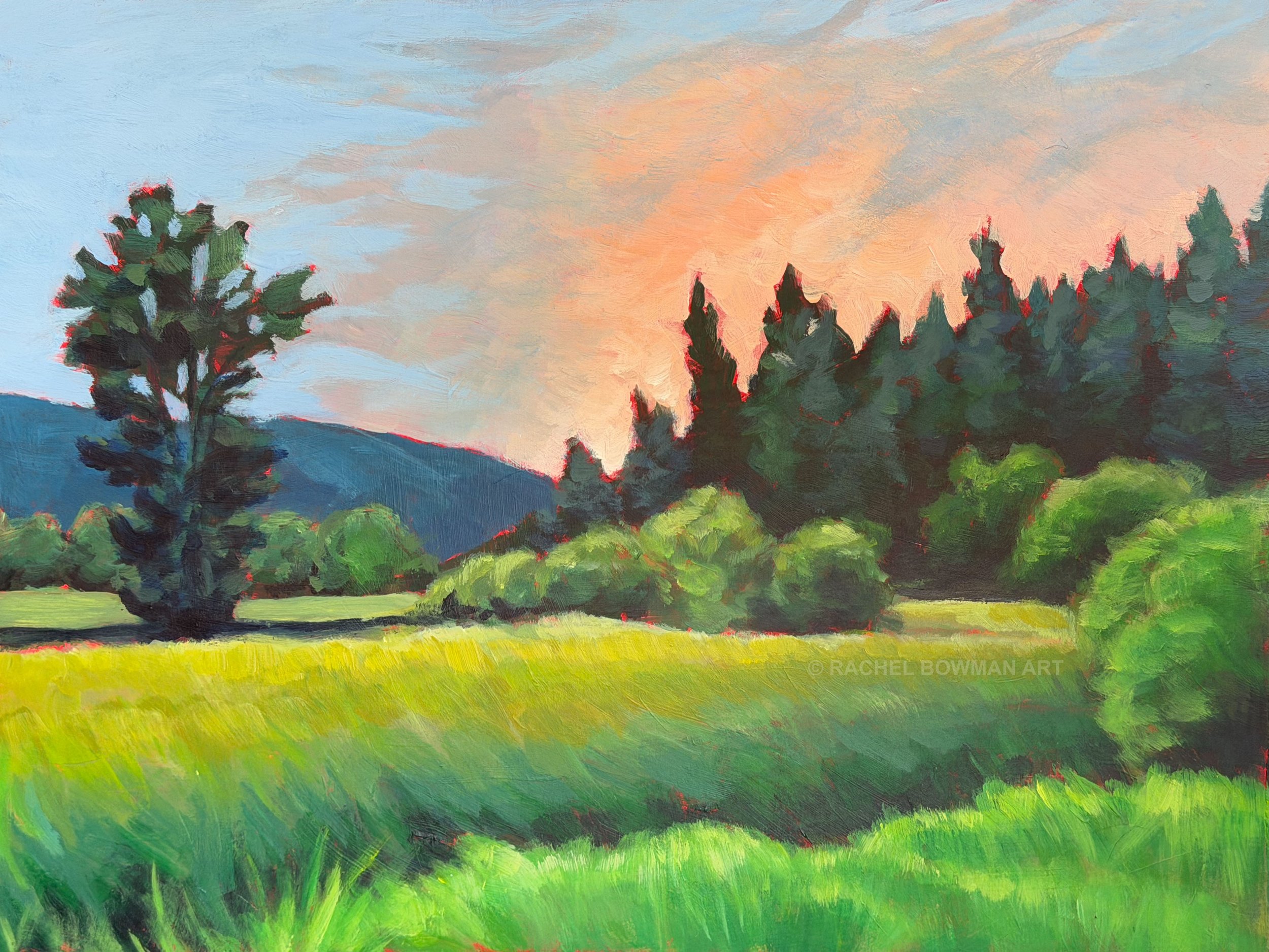 spring meadow dusk.jpg