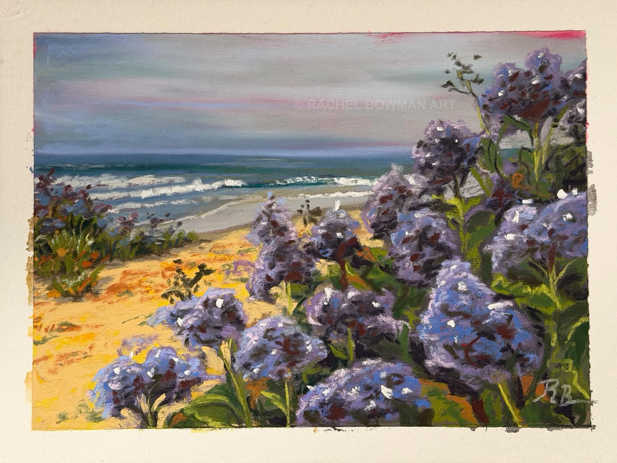 sea lavender I.jpg