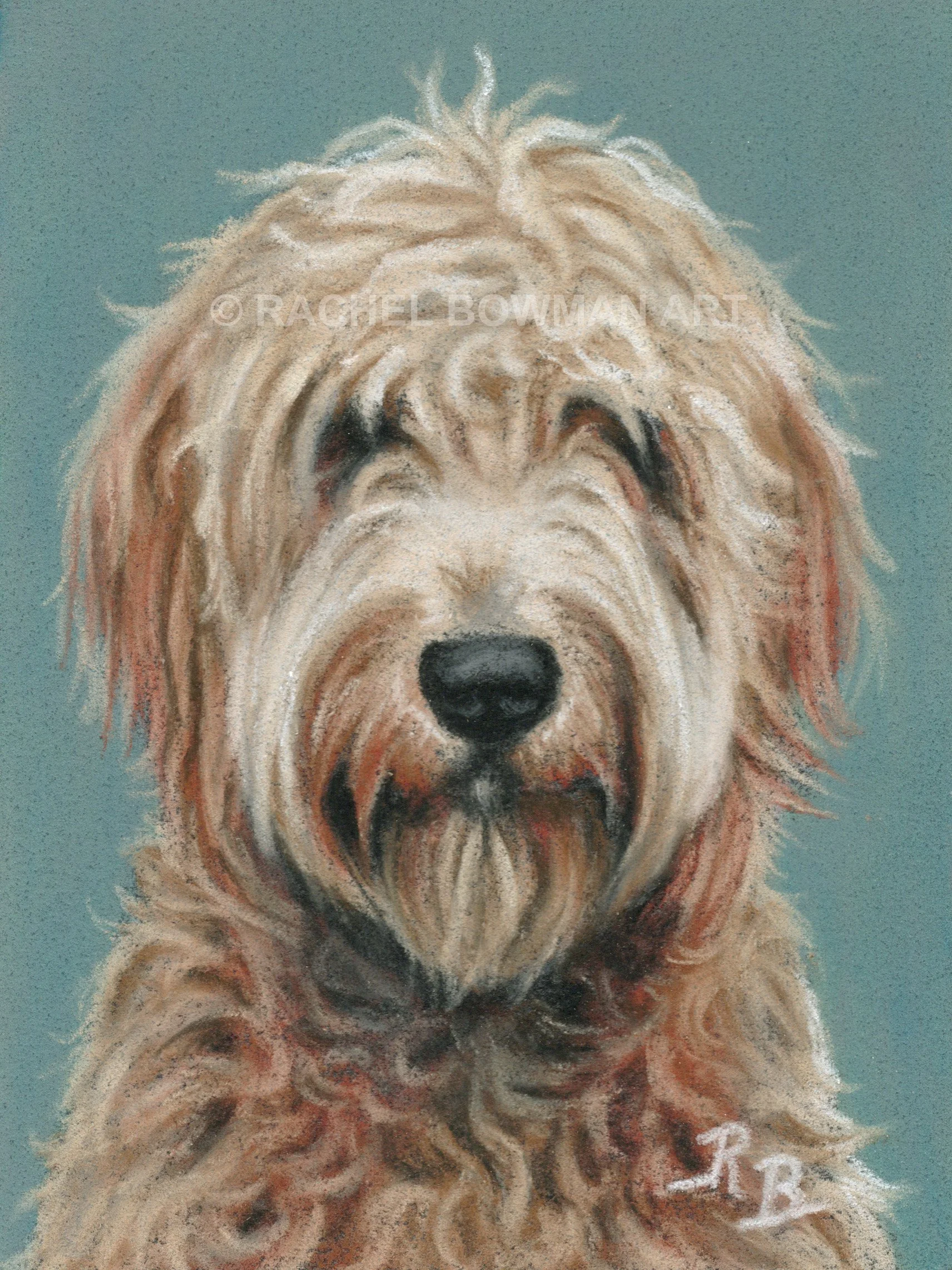 lewis buster 3x4.jpg