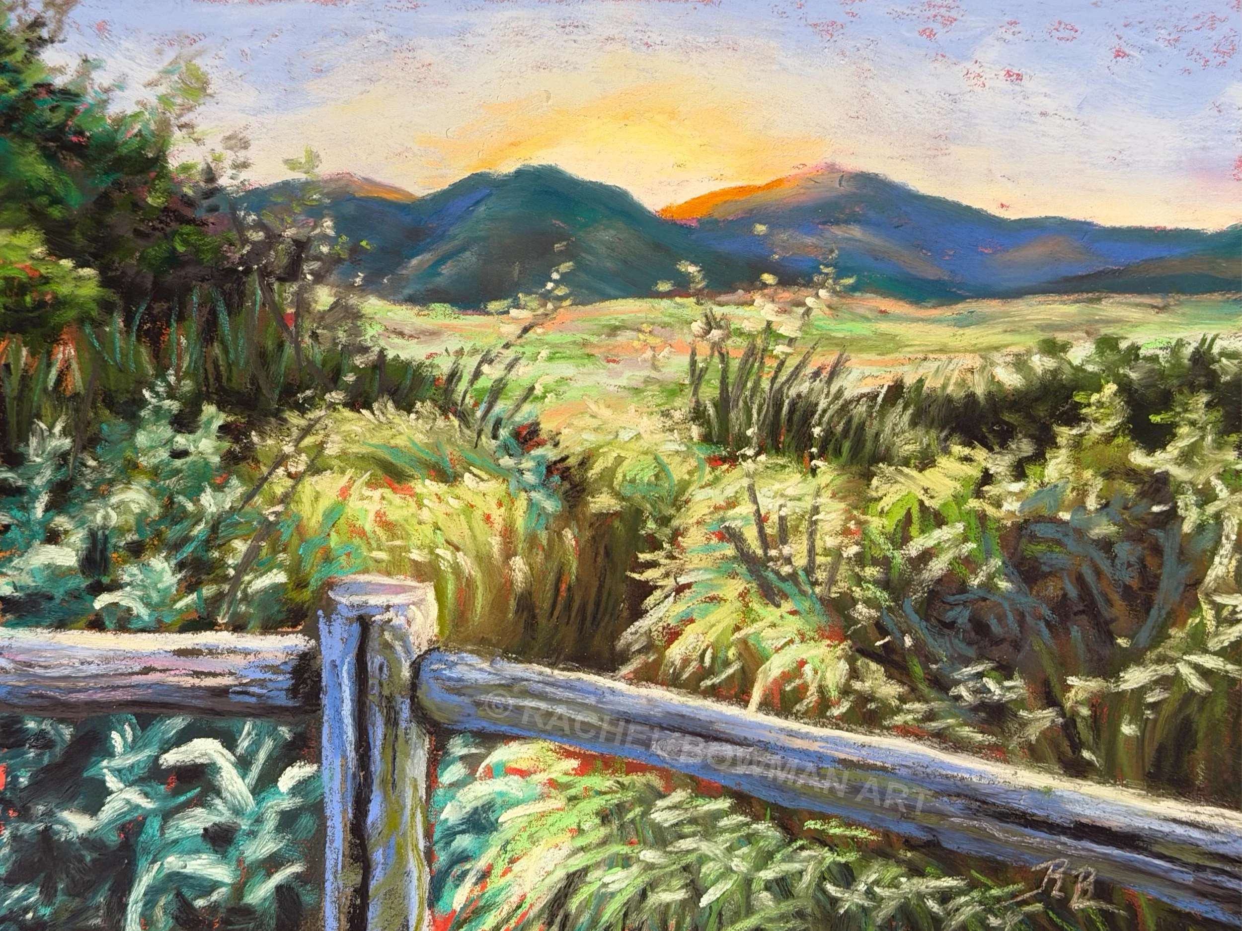 mission trails fence post.jpg